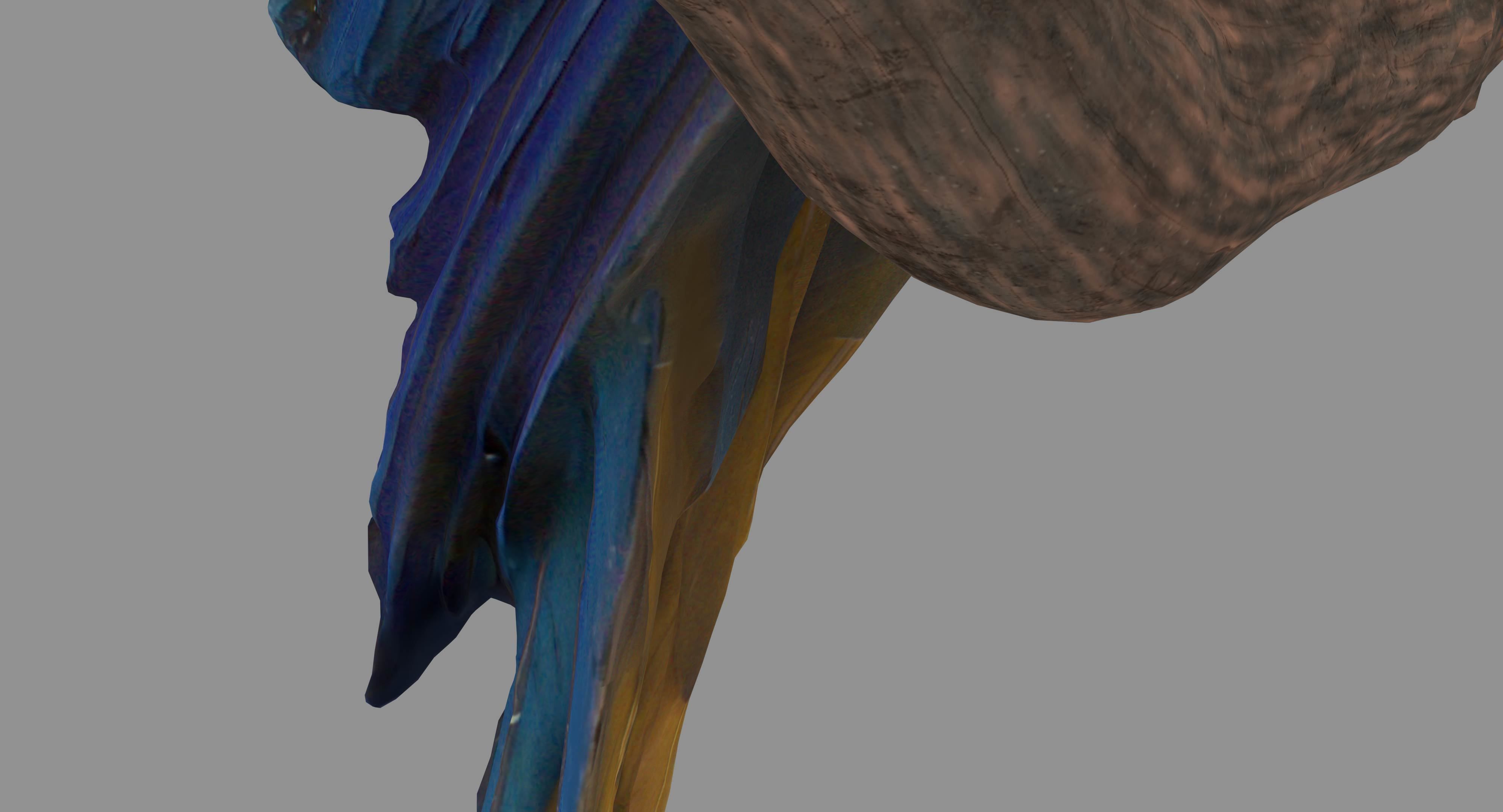 Ara Macaw Low-poly 3D model_22