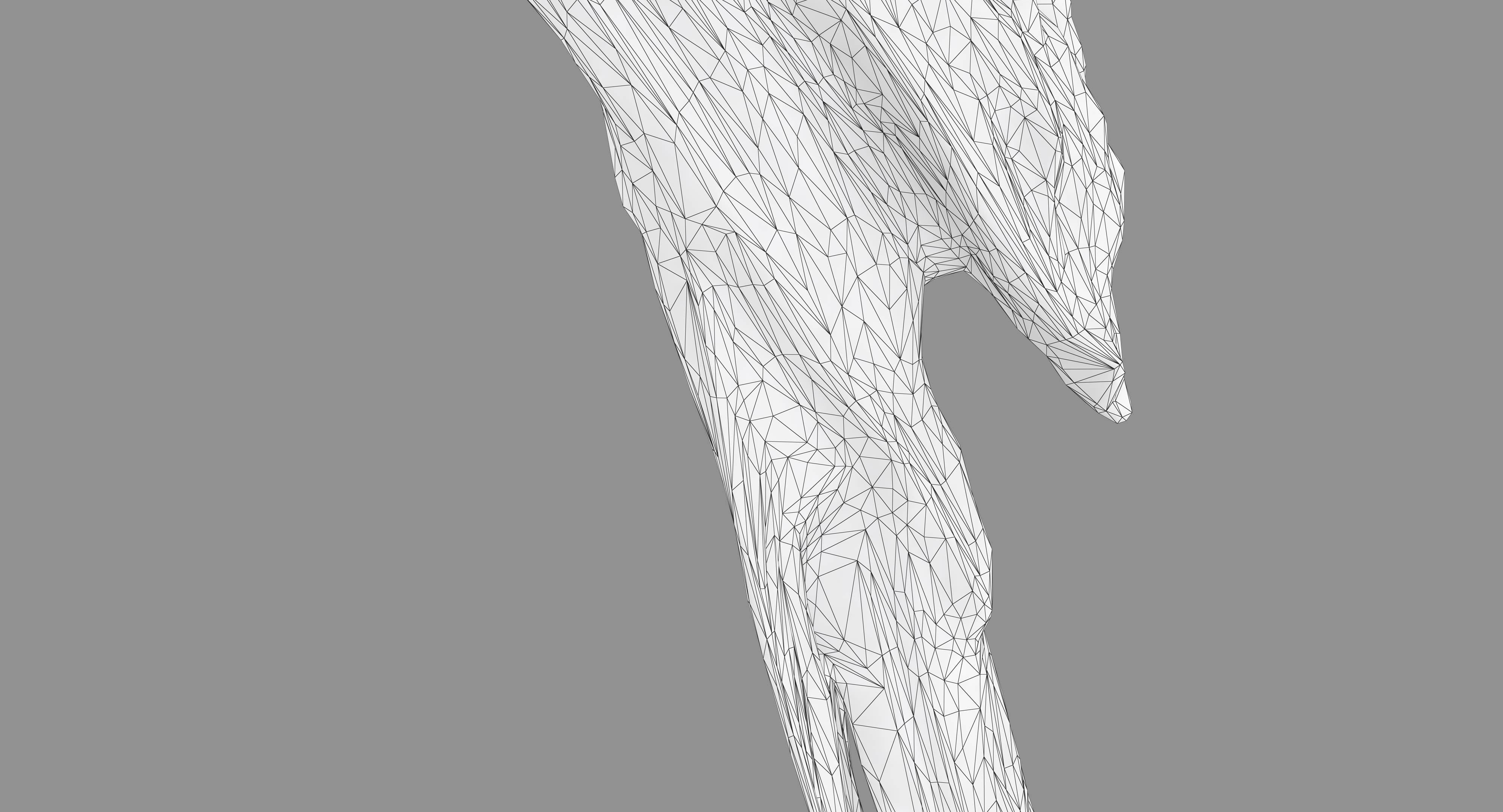 Ara Macaw Low-poly 3D model_63