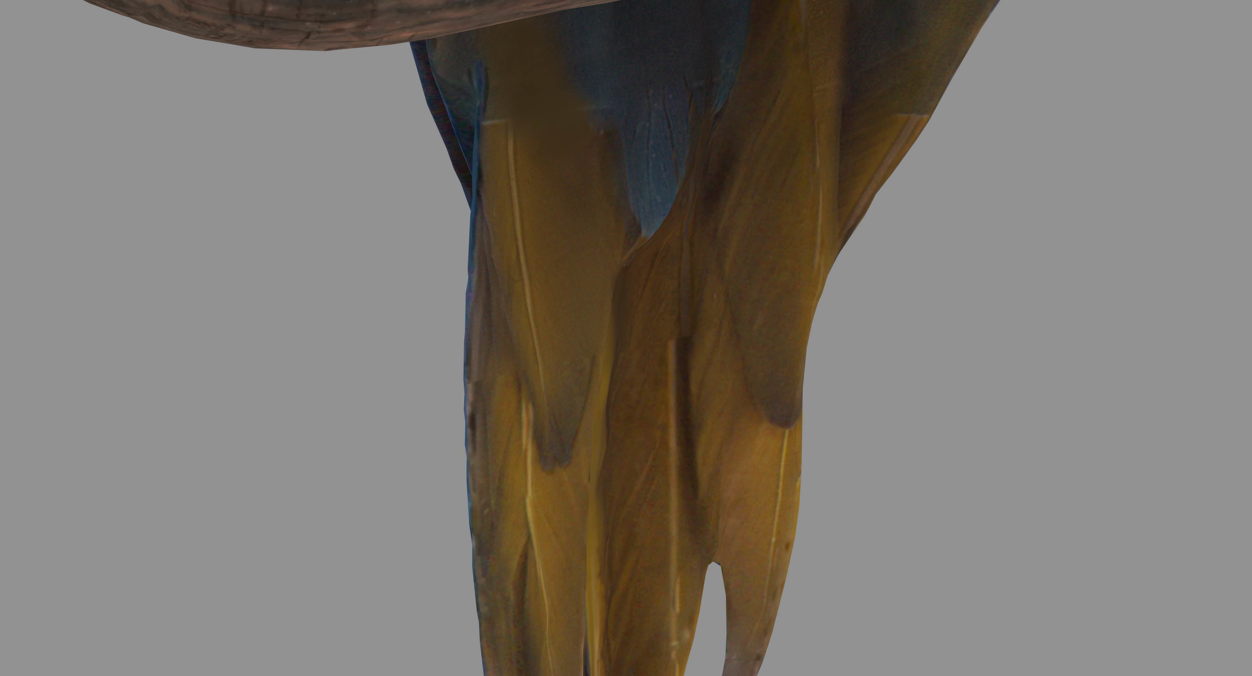 Ara Macaw Low-poly 3D model_12