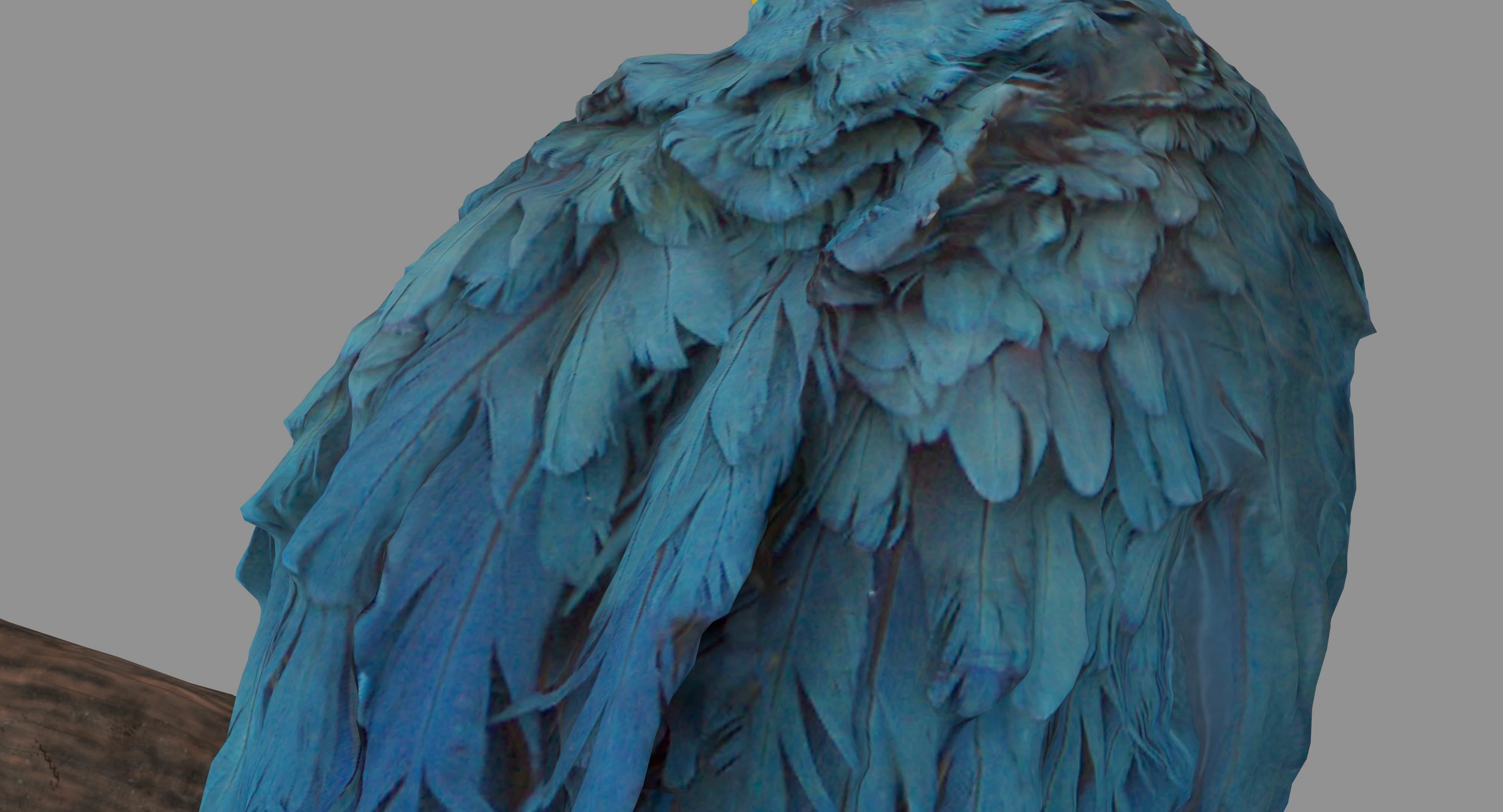 Ara Macaw Low-poly 3D model_38