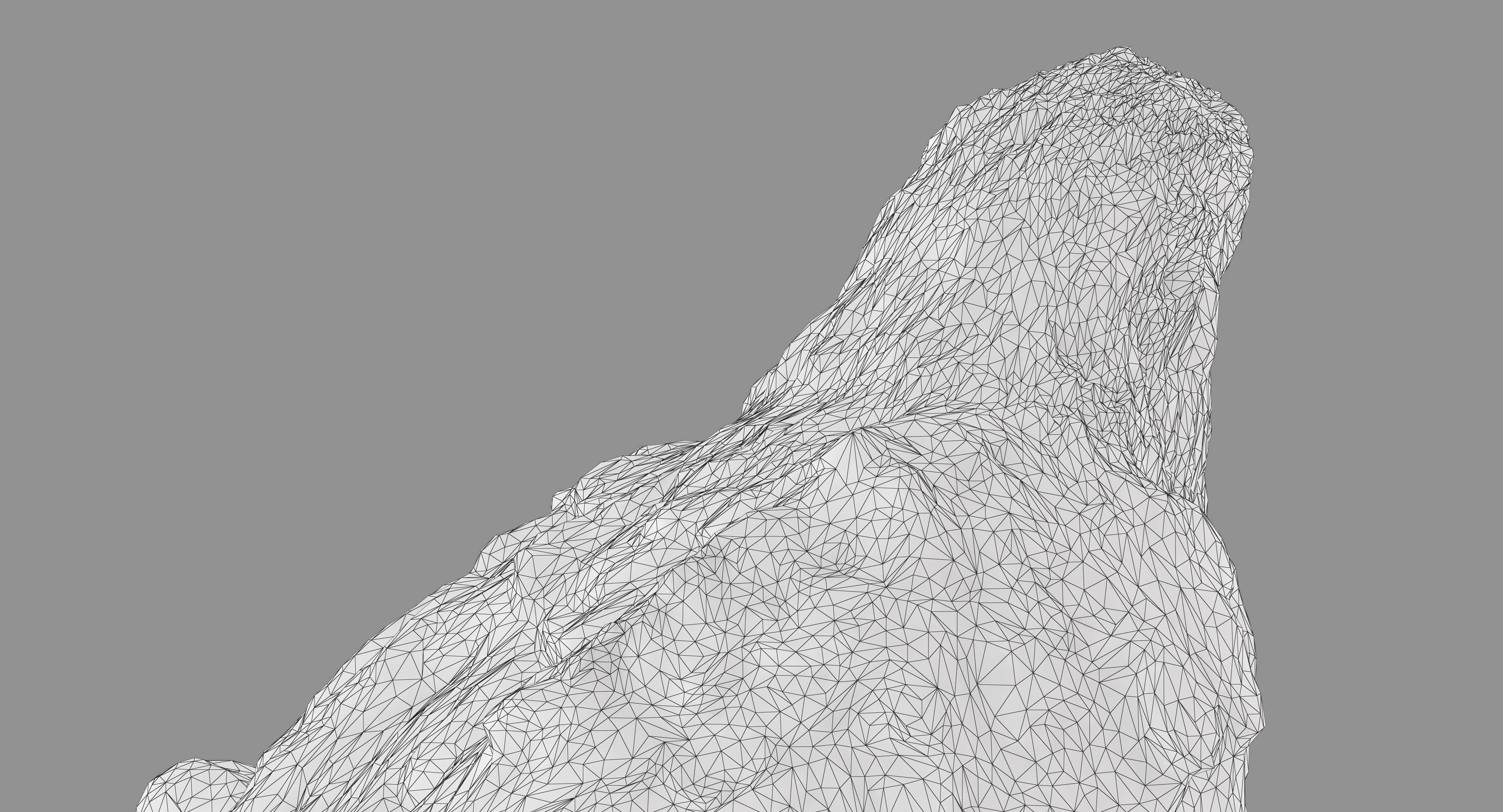 Ara Macaw Low-poly 3D model_27