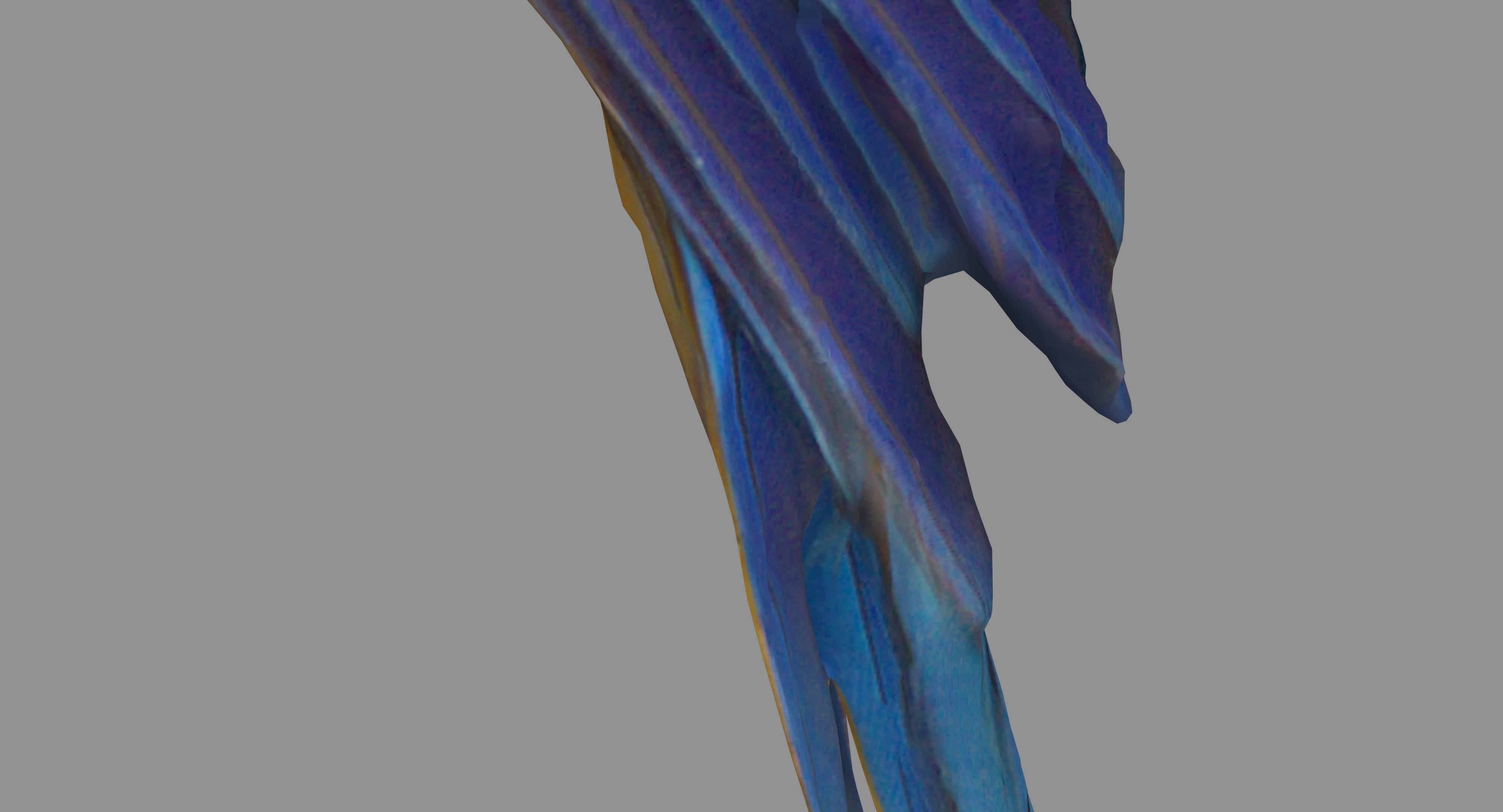 Ara Macaw Low-poly 3D model_62