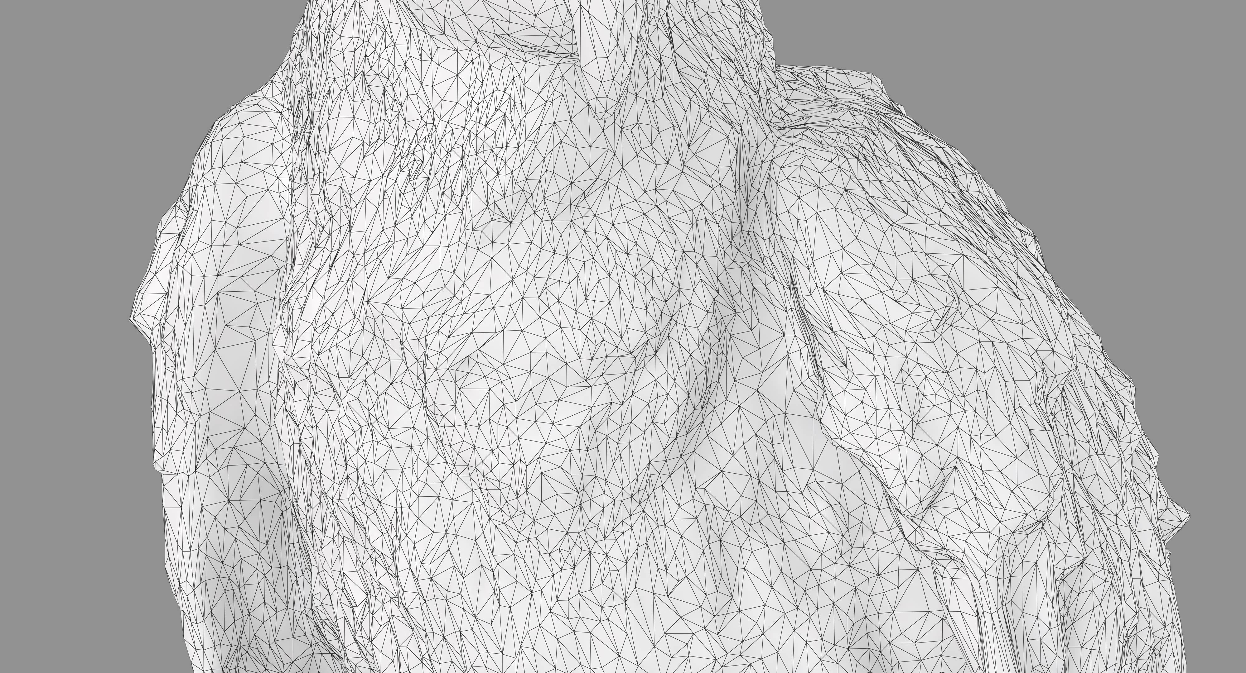 Ara Macaw Low-poly 3D model_79