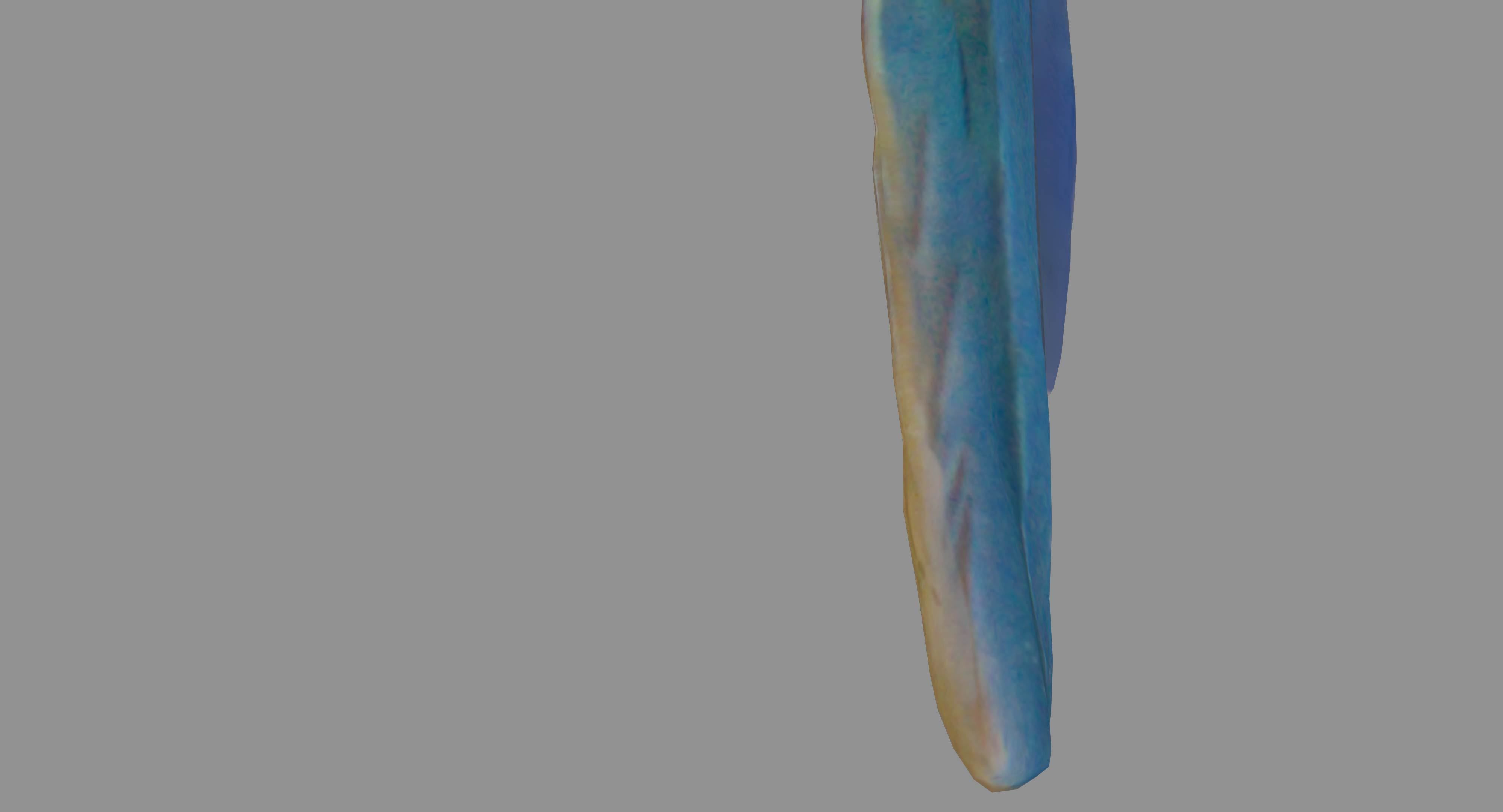 Ara Macaw Low-poly 3D model_54