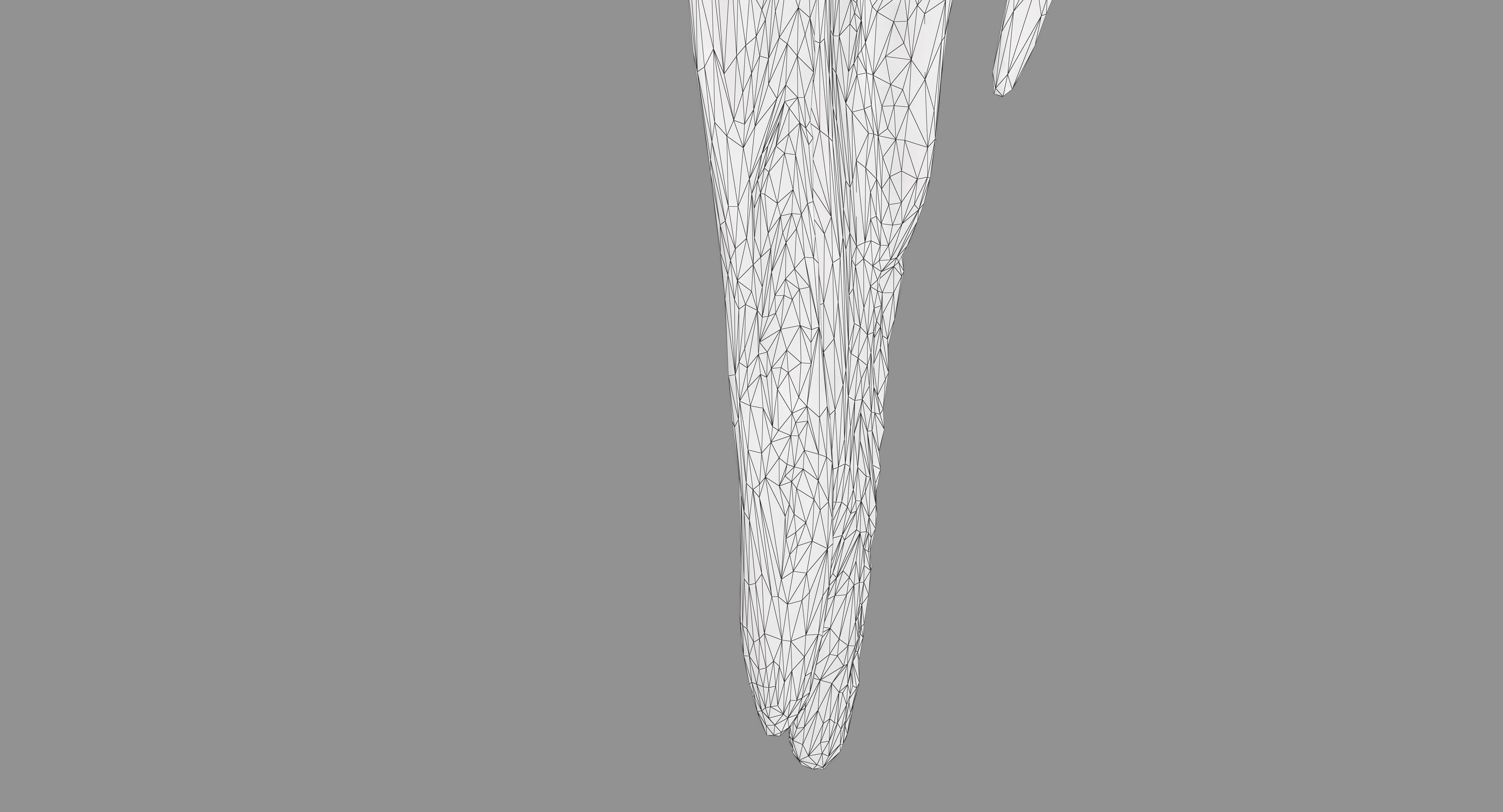 Ara Macaw Low-poly 3D model_15