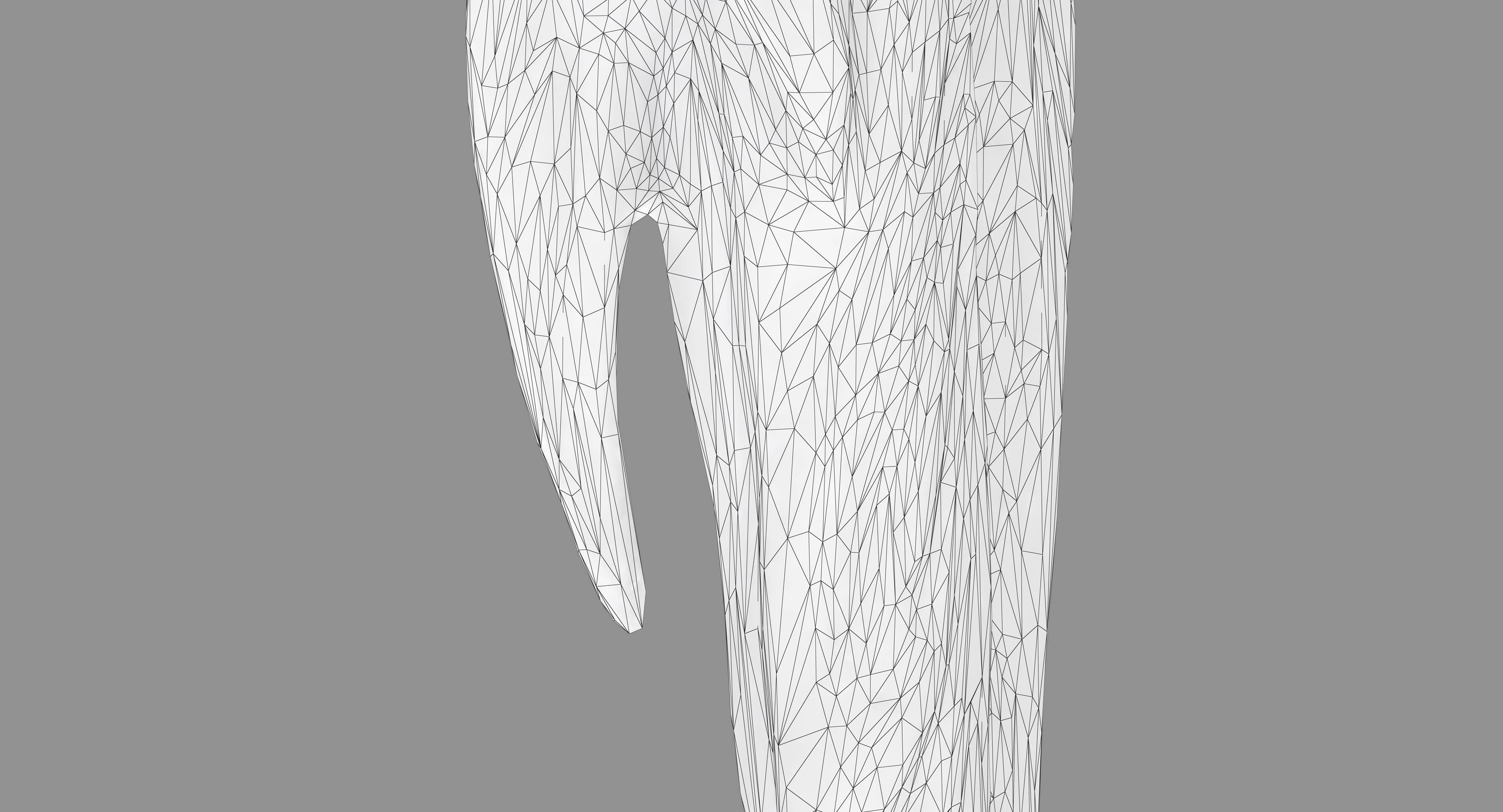Ara Macaw Low-poly 3D model_53