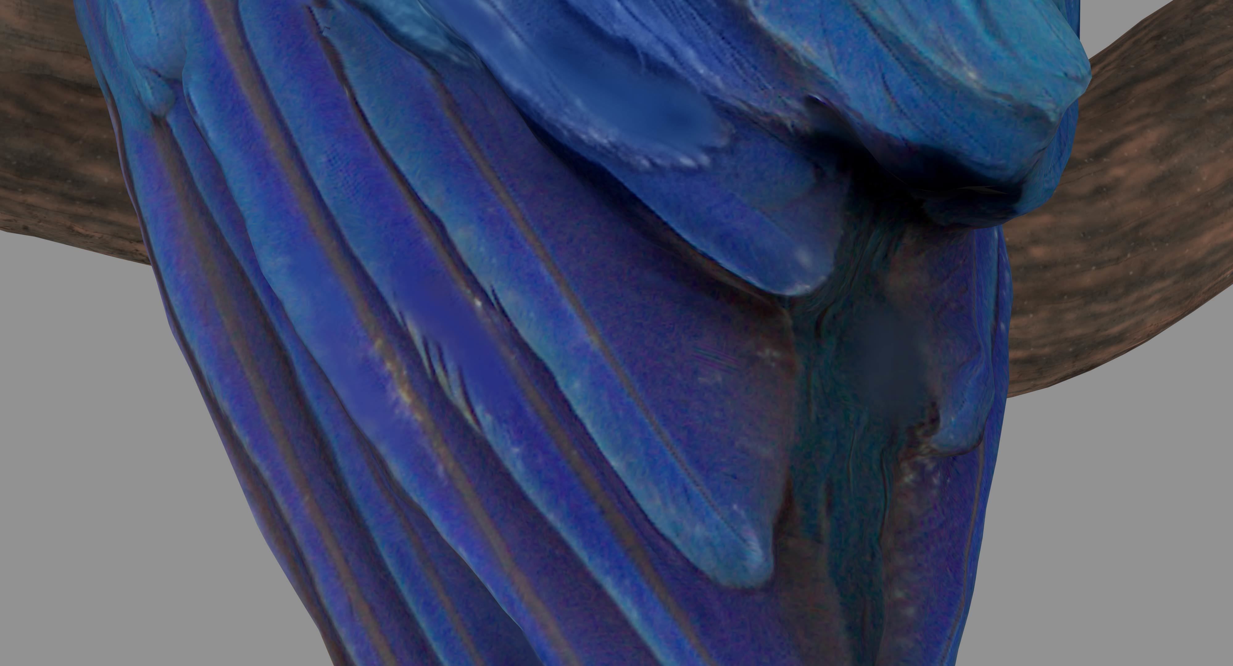 Ara Macaw Low-poly 3D model_50