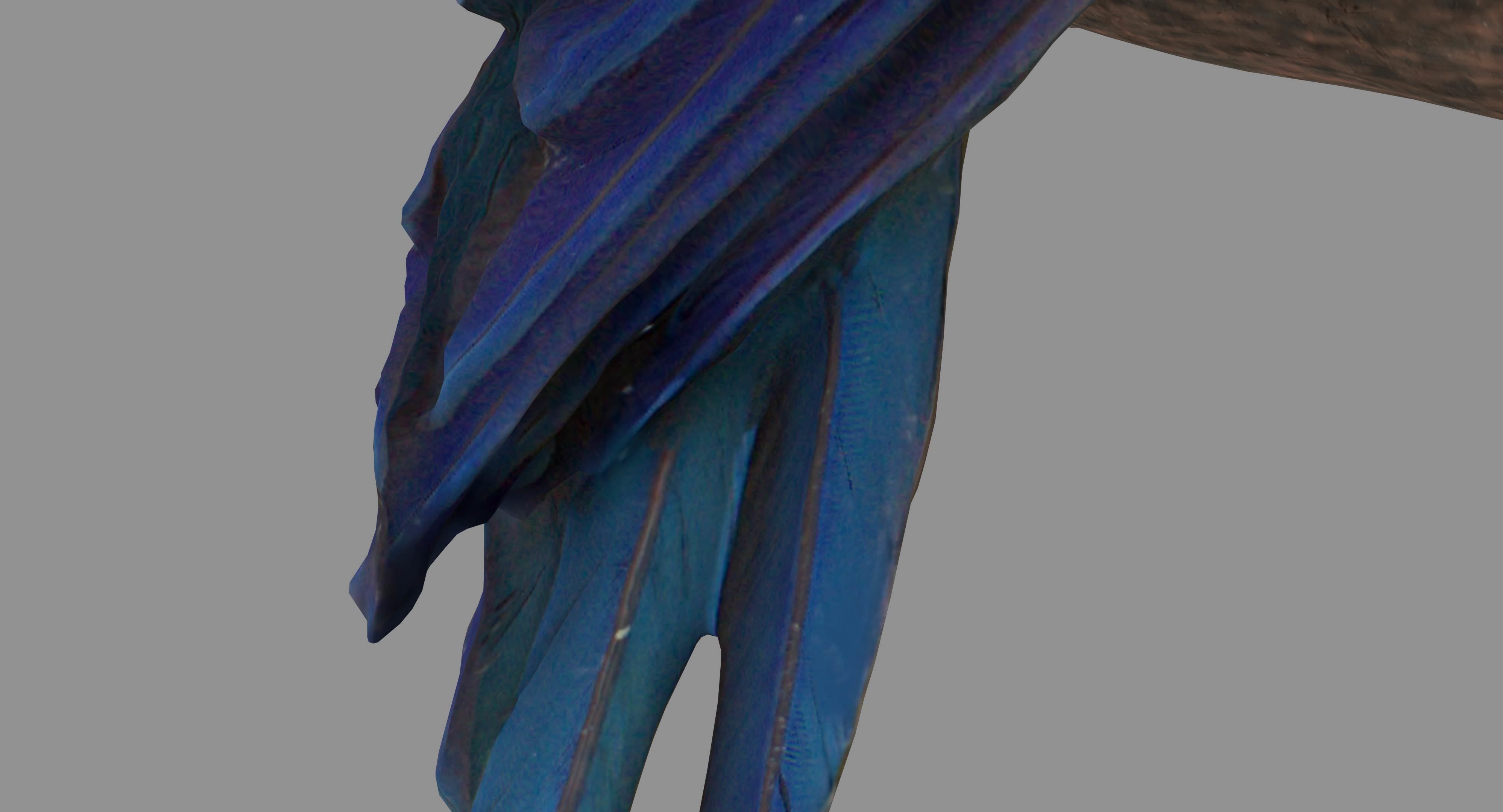 Ara Macaw Low-poly 3D model_32