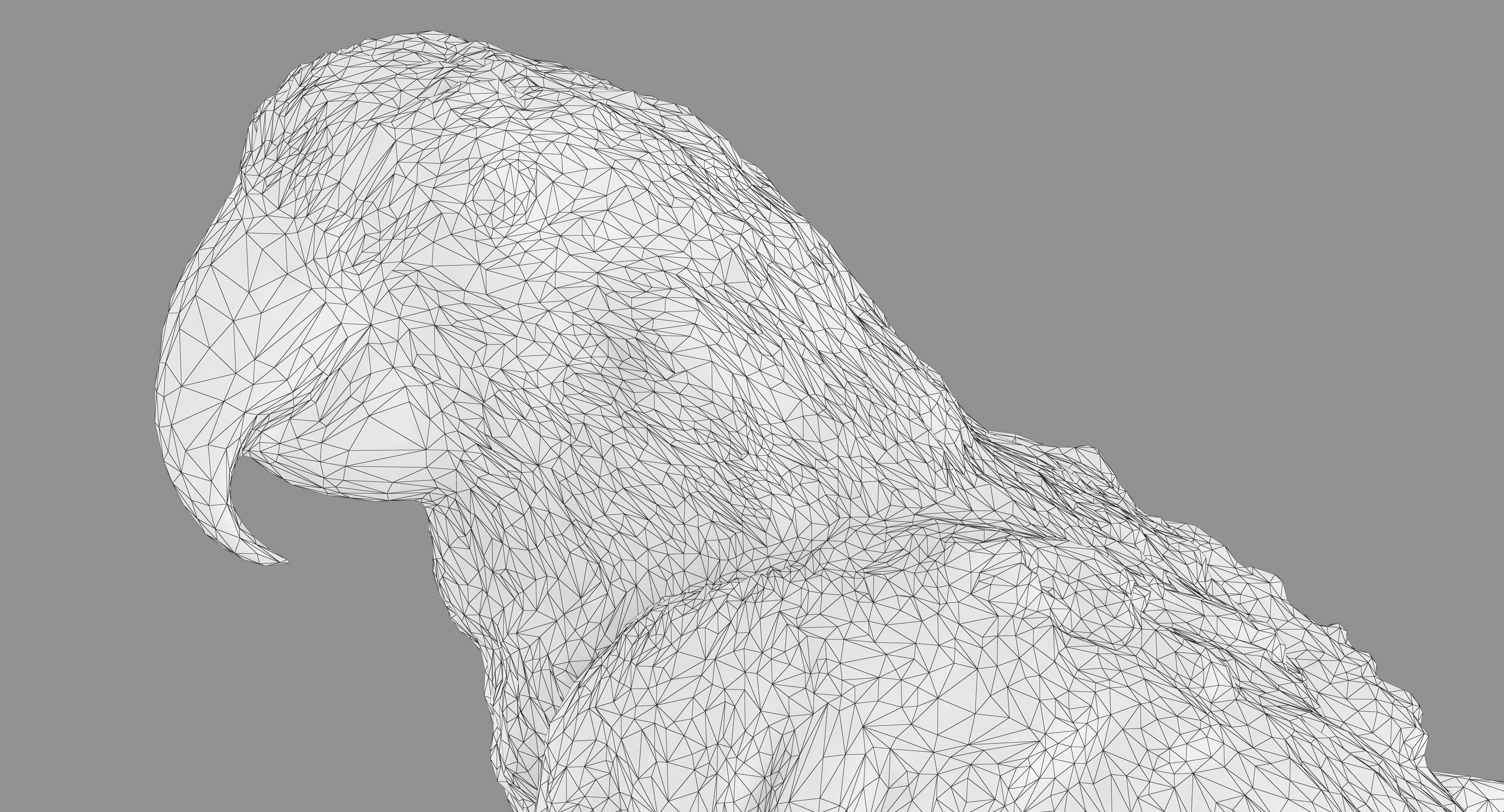 Ara Macaw Low-poly 3D model_57