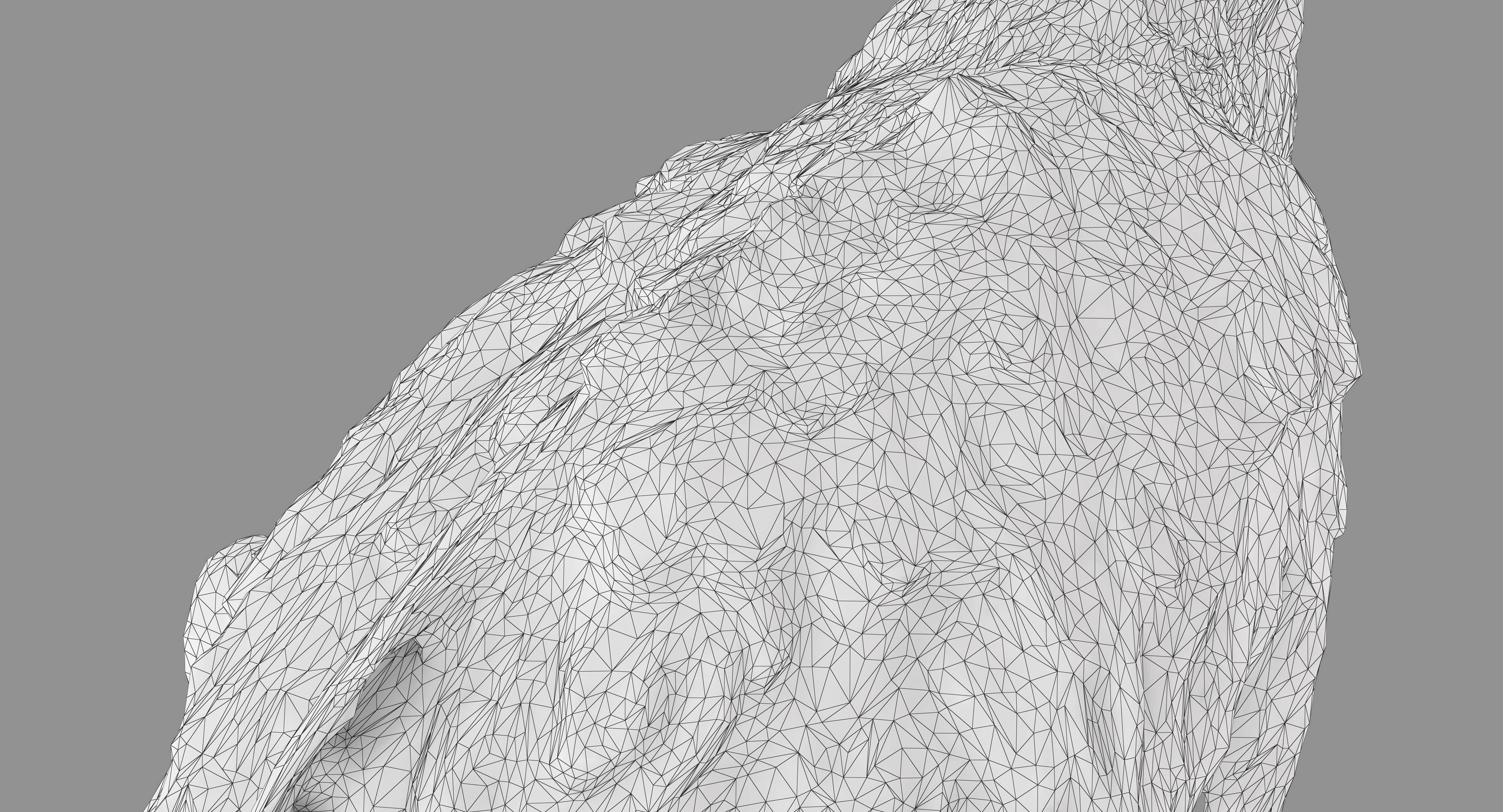 Ara Macaw Low-poly 3D model_29
