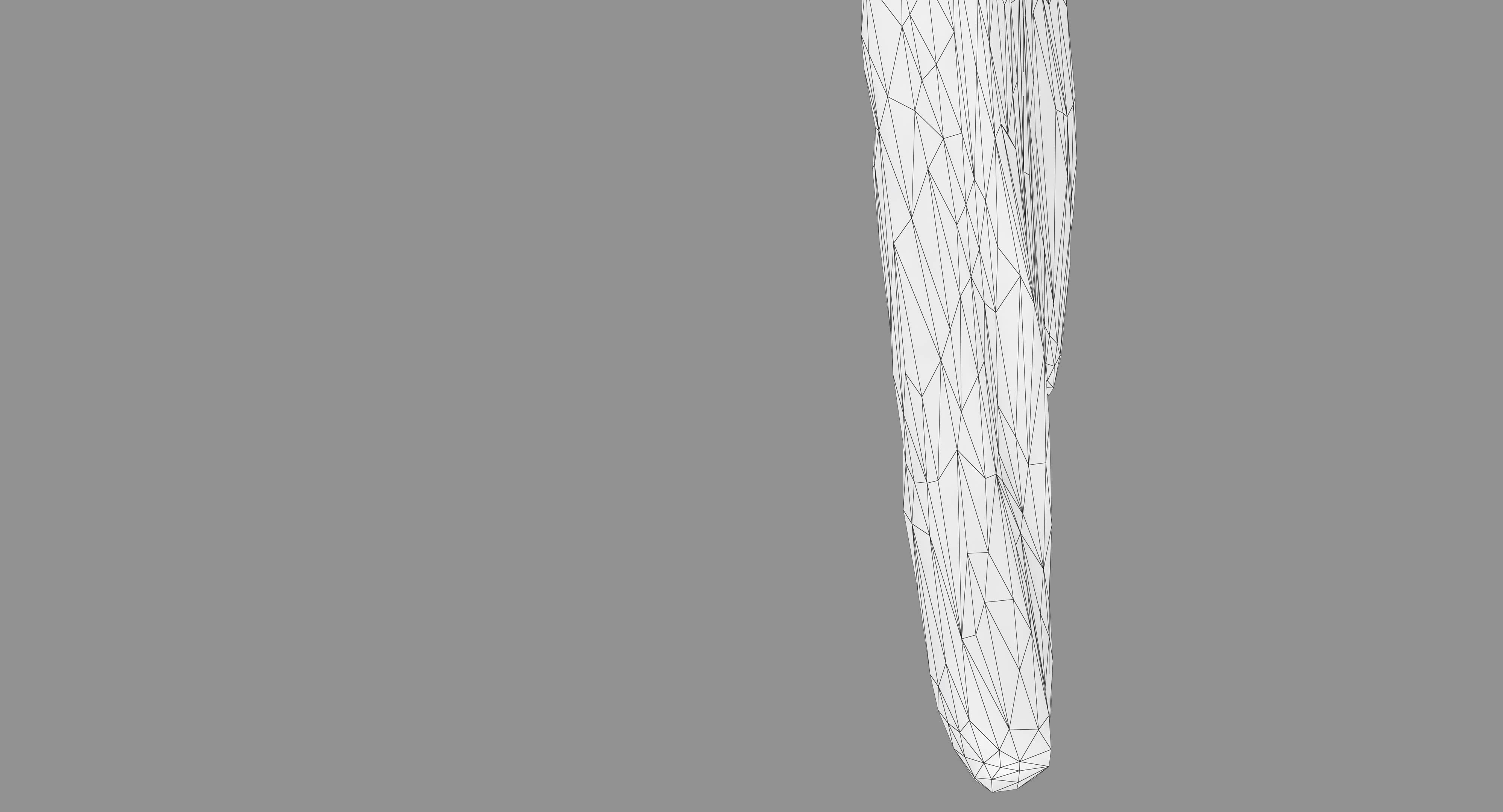 Ara Macaw Low-poly 3D model_55