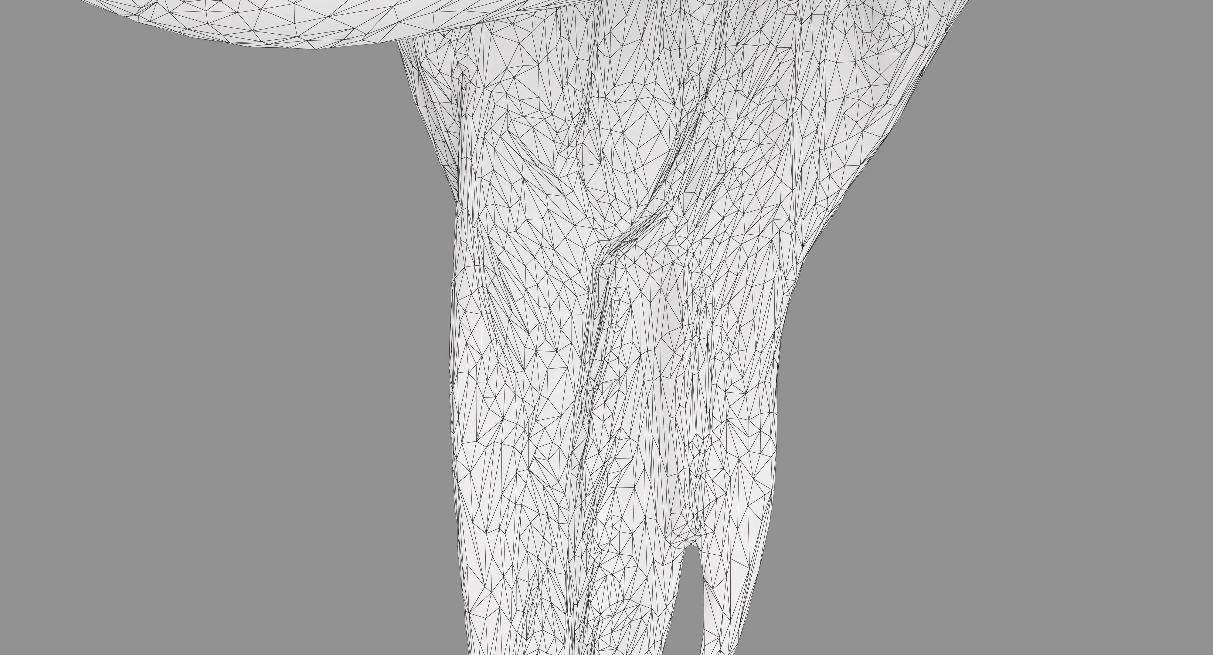 Ara Macaw Low-poly 3D model_13