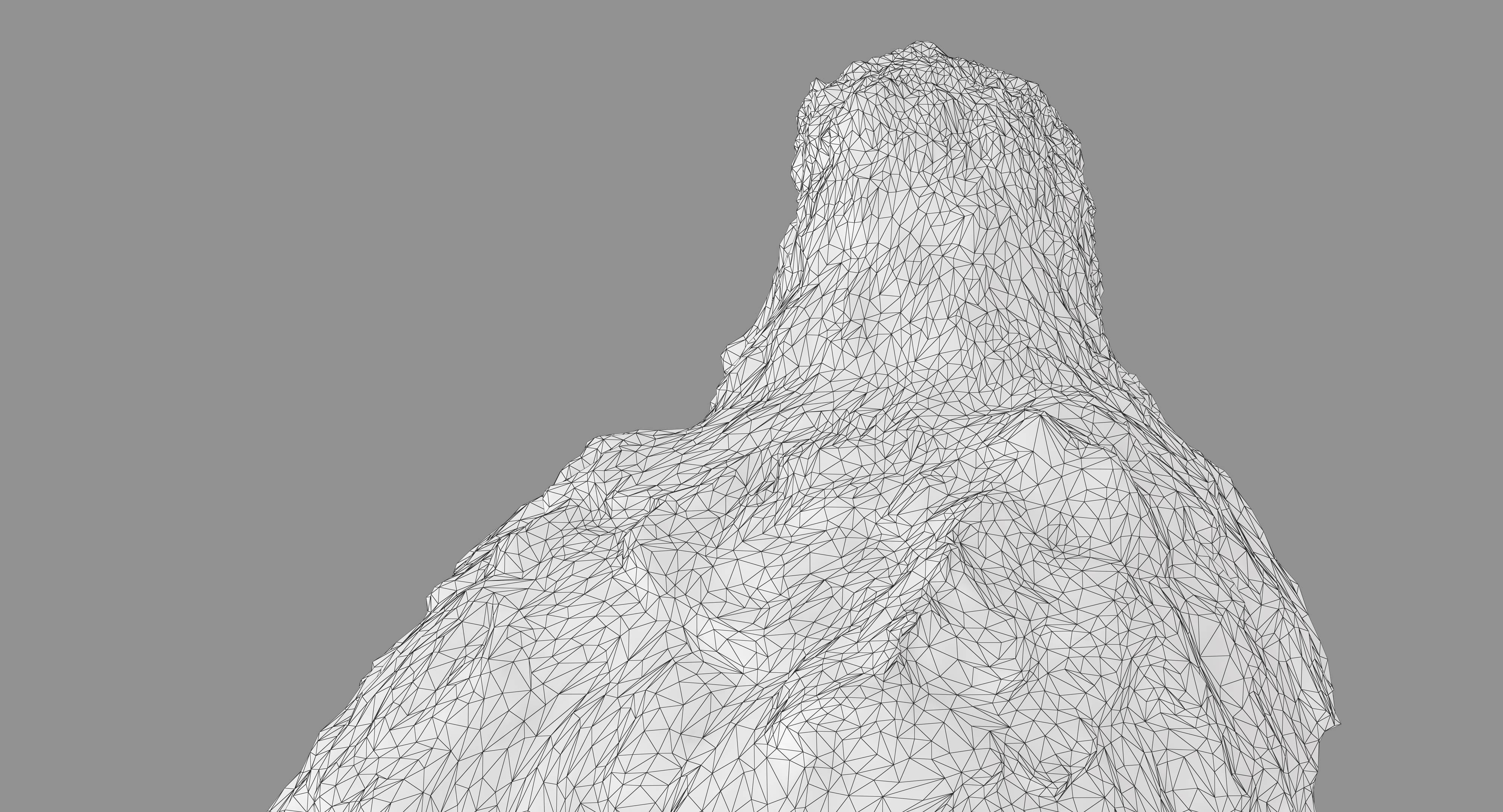 Ara Macaw Low-poly 3D model_37