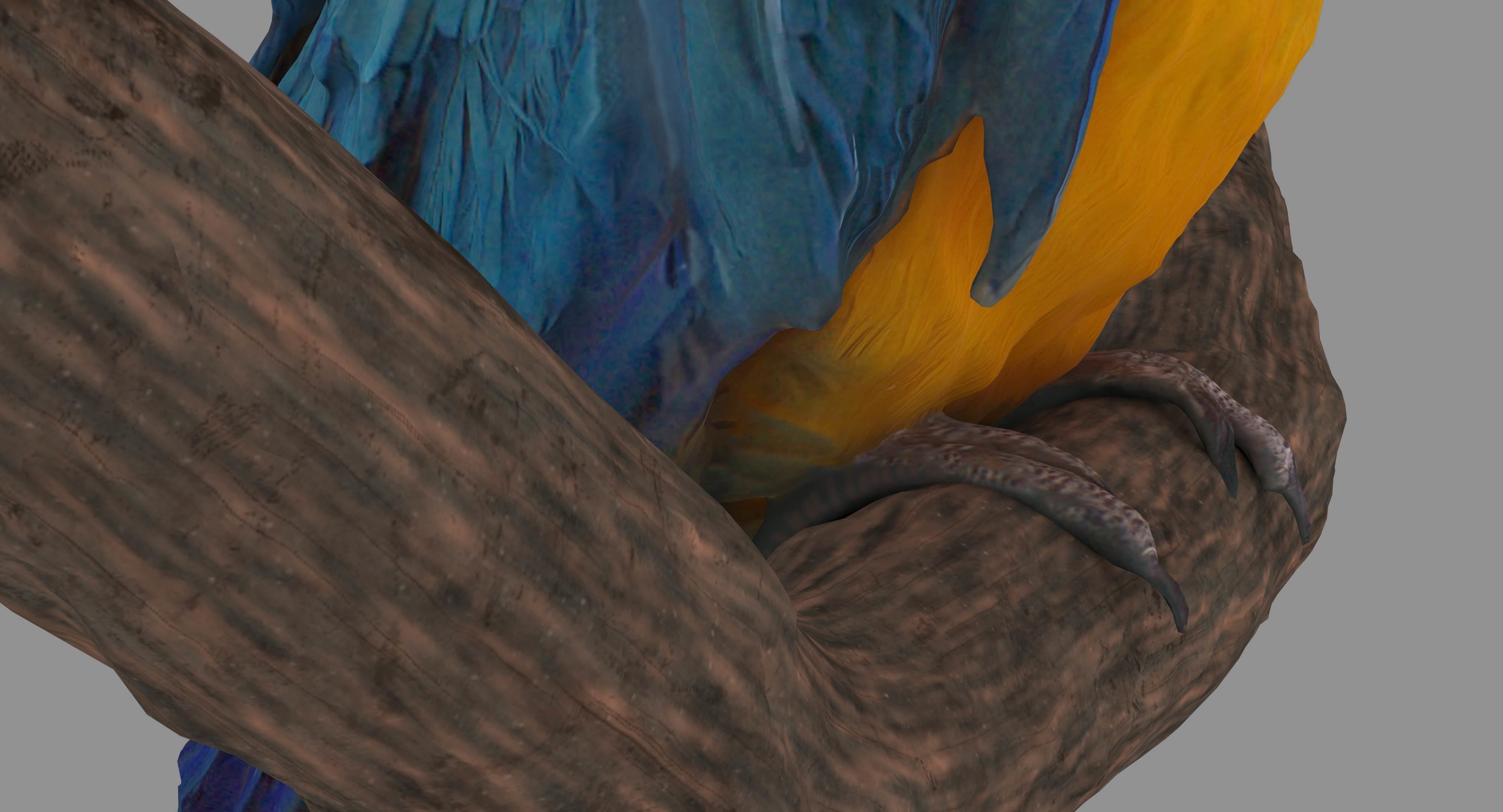 Ara Macaw Low-poly 3D model_20