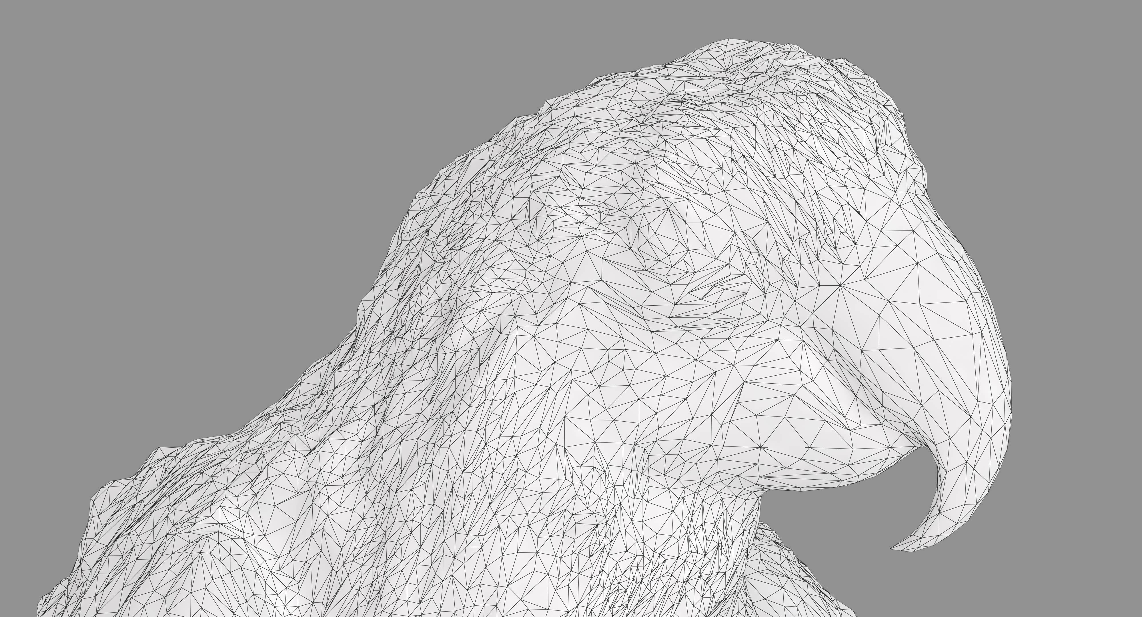 Ara Macaw Low-poly 3D model_7