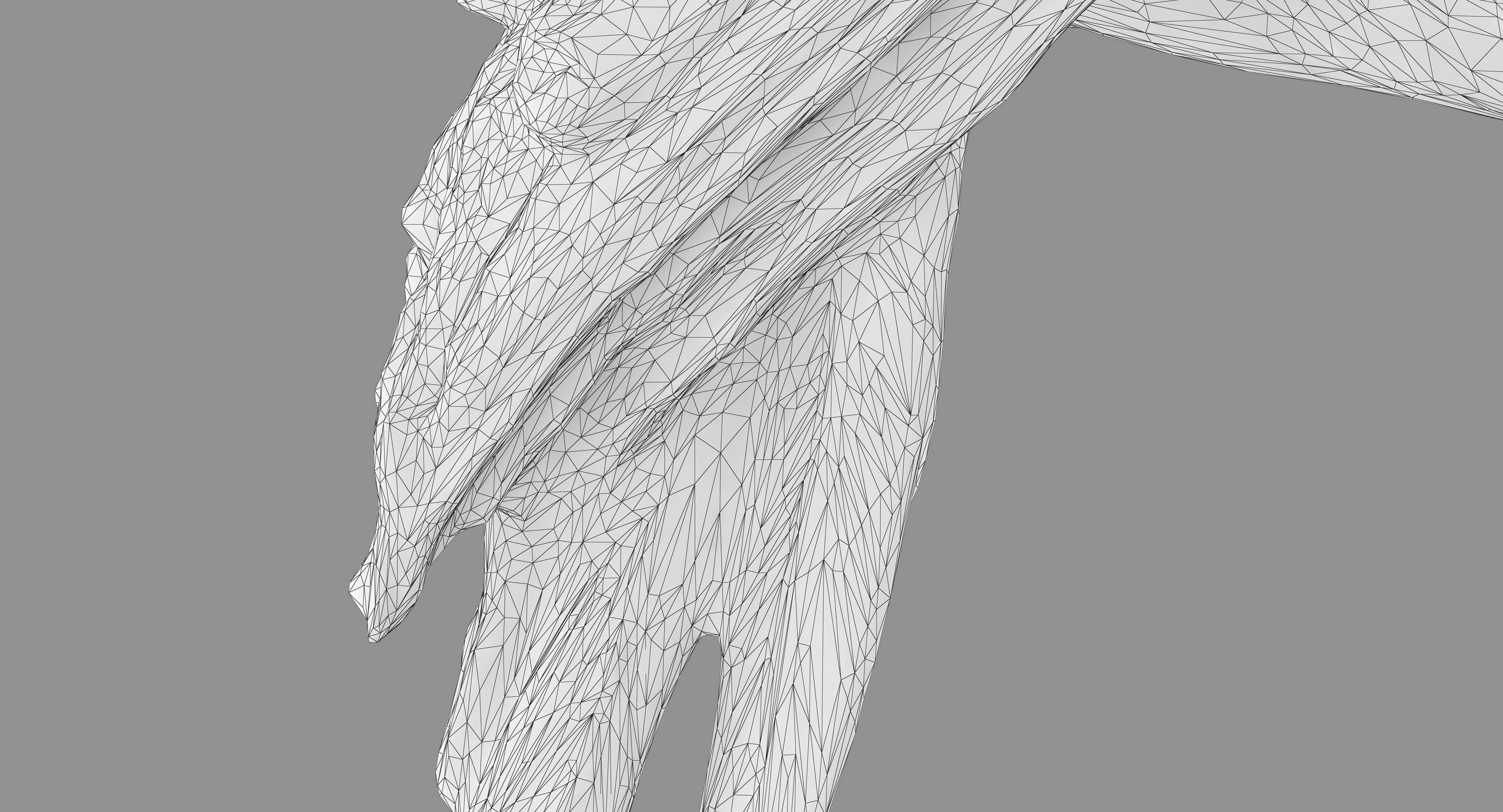Ara Macaw Low-poly 3D model_33