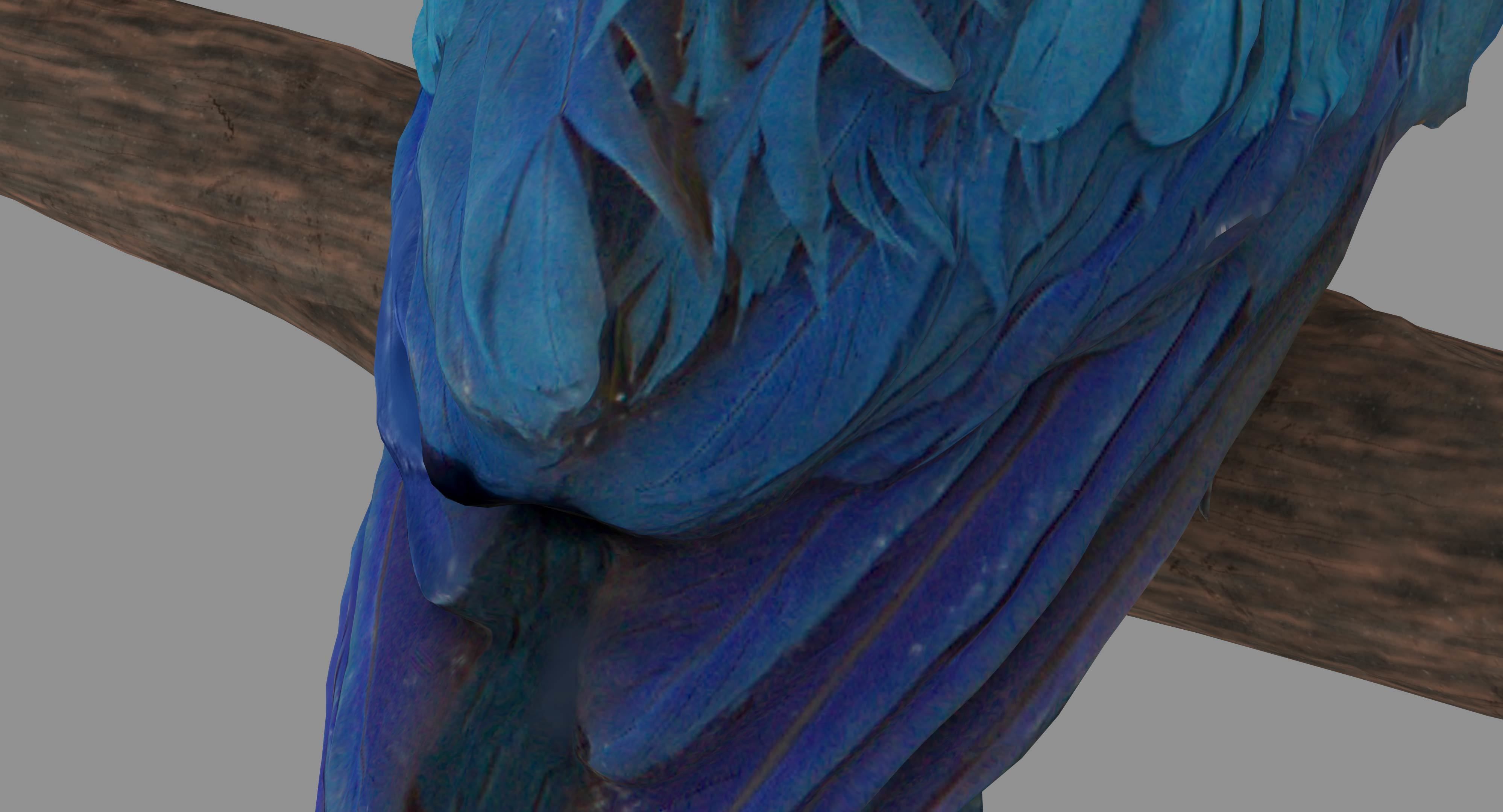 Ara Macaw Low-poly 3D model_40