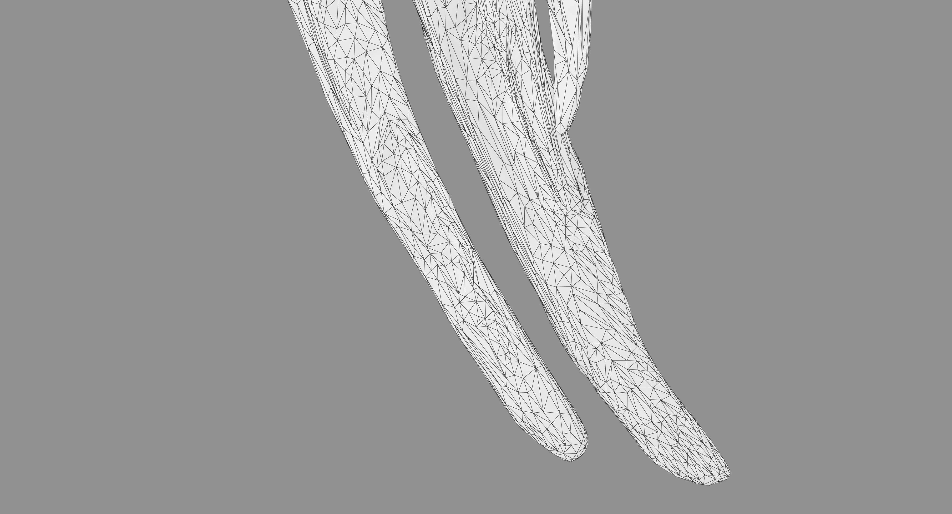 Ara Macaw Low-poly 3D model_85