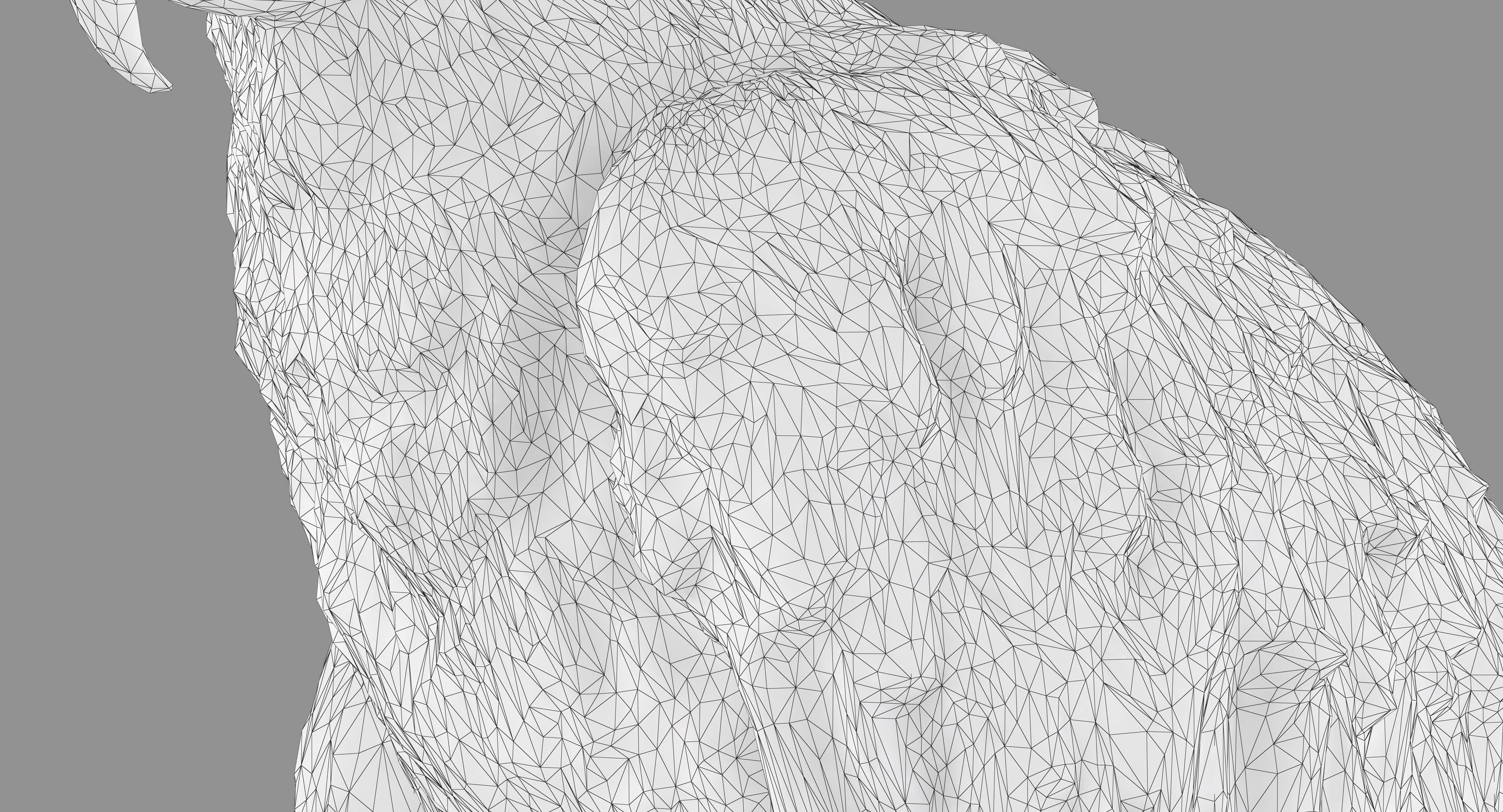 Ara Macaw Low-poly 3D model_69