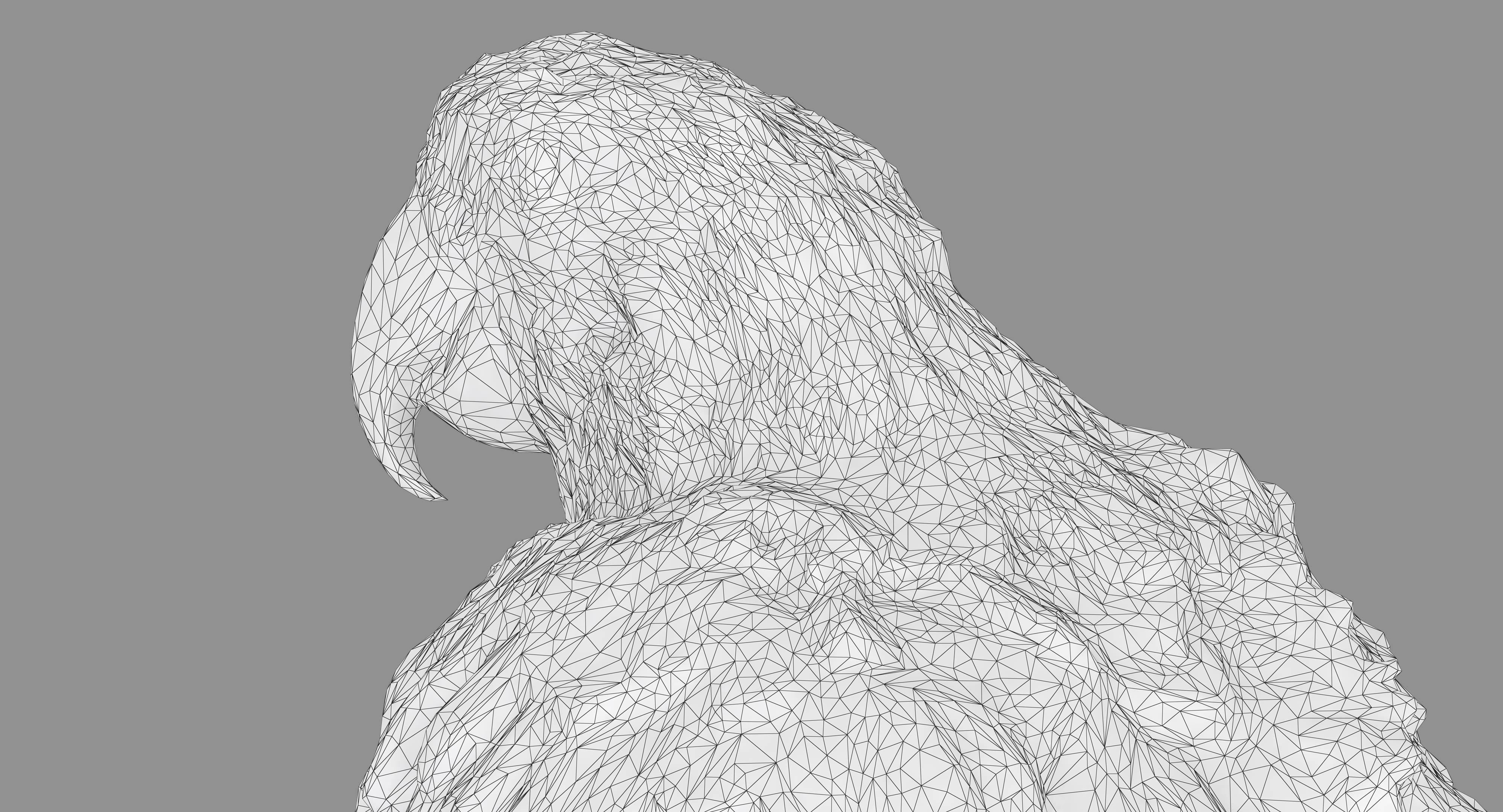 Ara Macaw Low-poly 3D model_47