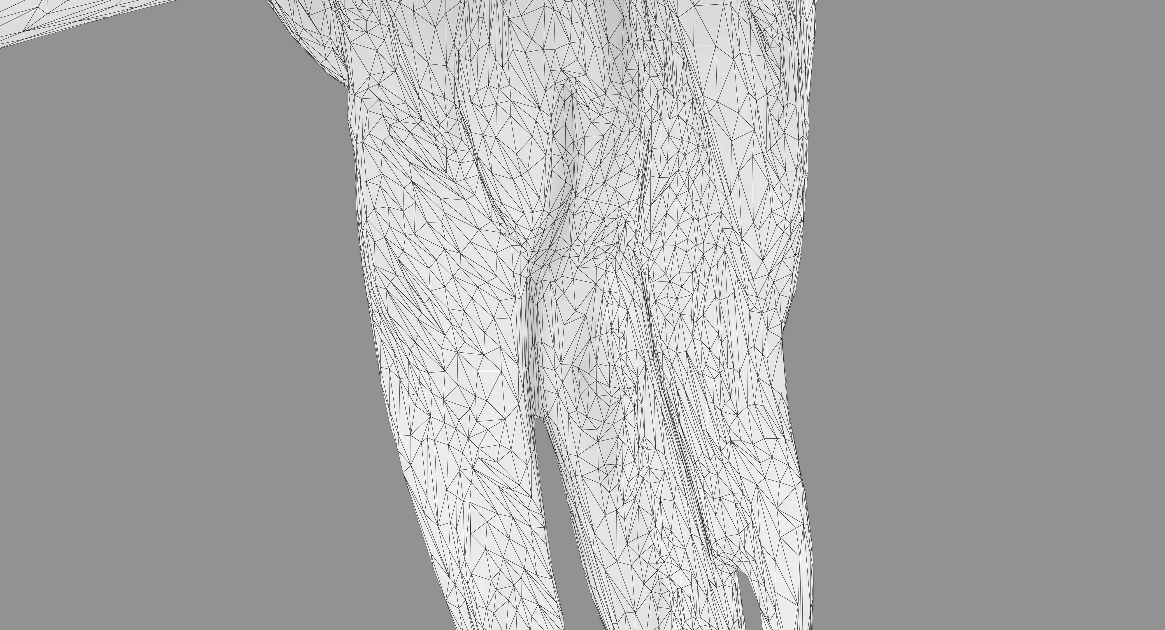 Ara Macaw Low-poly 3D model_83