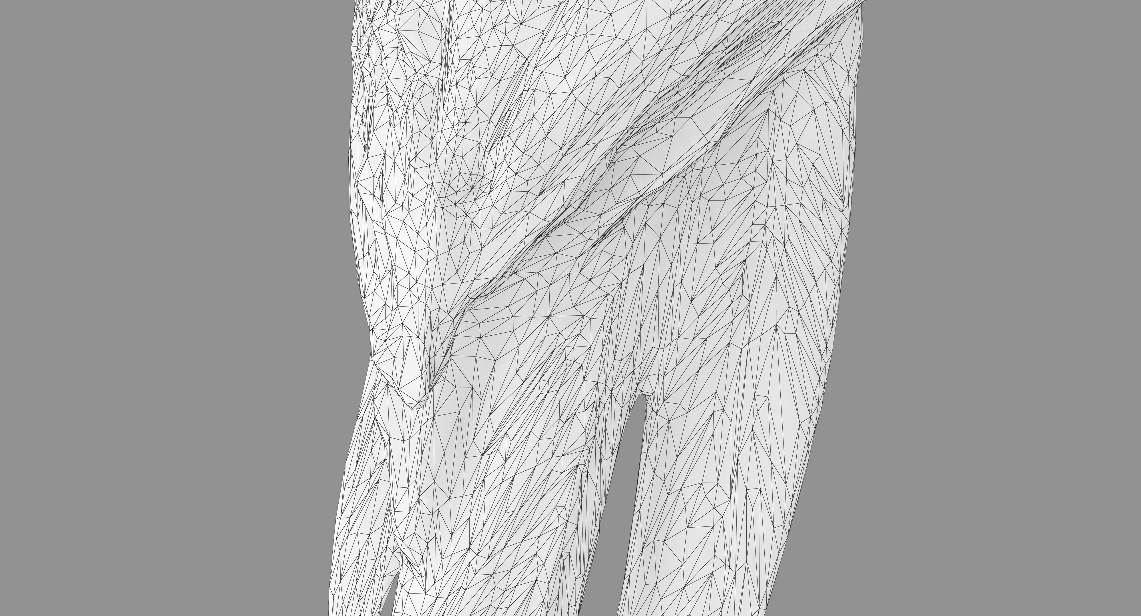 Ara Macaw Low-poly 3D model_43