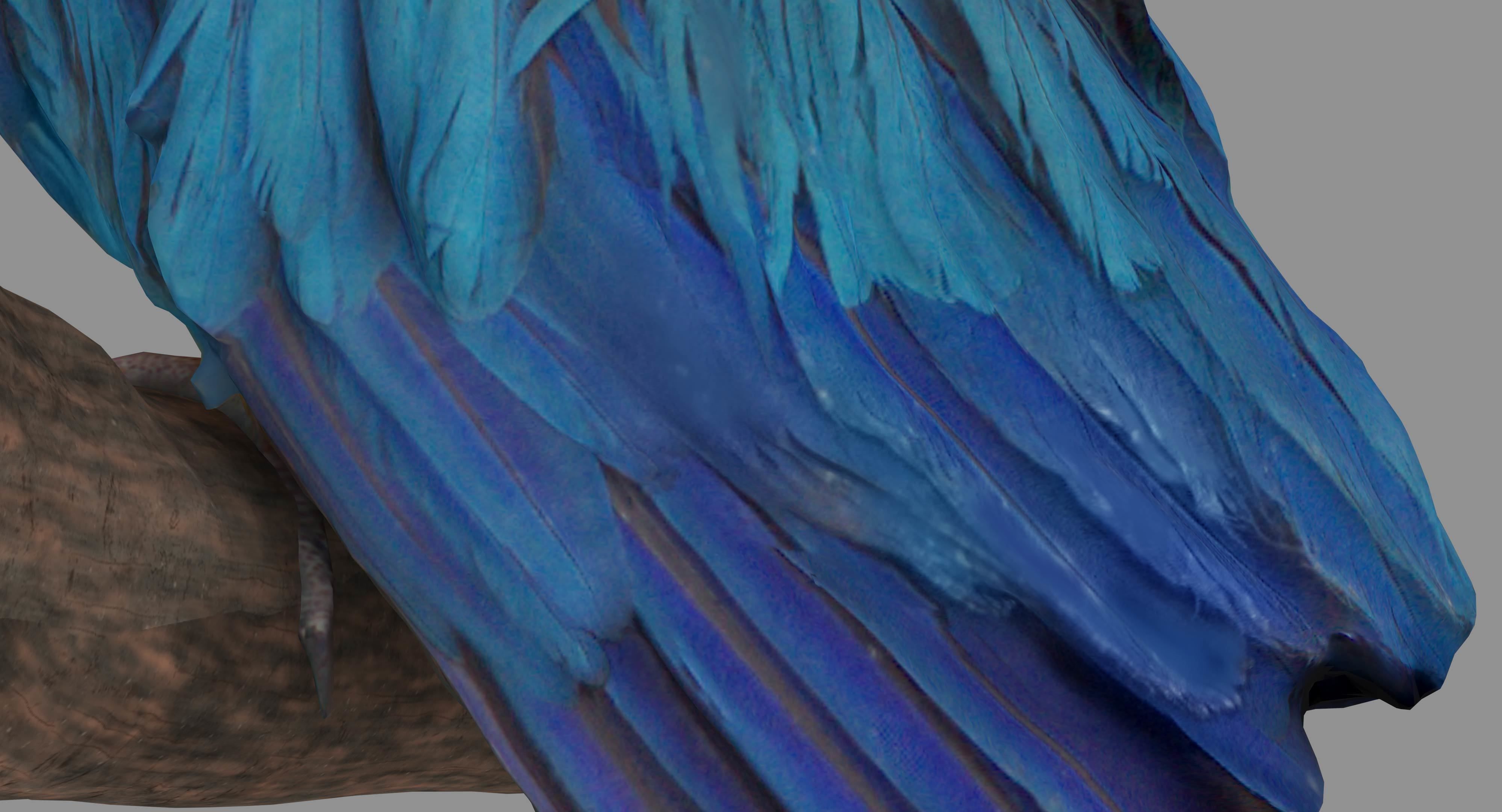 Ara Macaw Low-poly 3D model_60