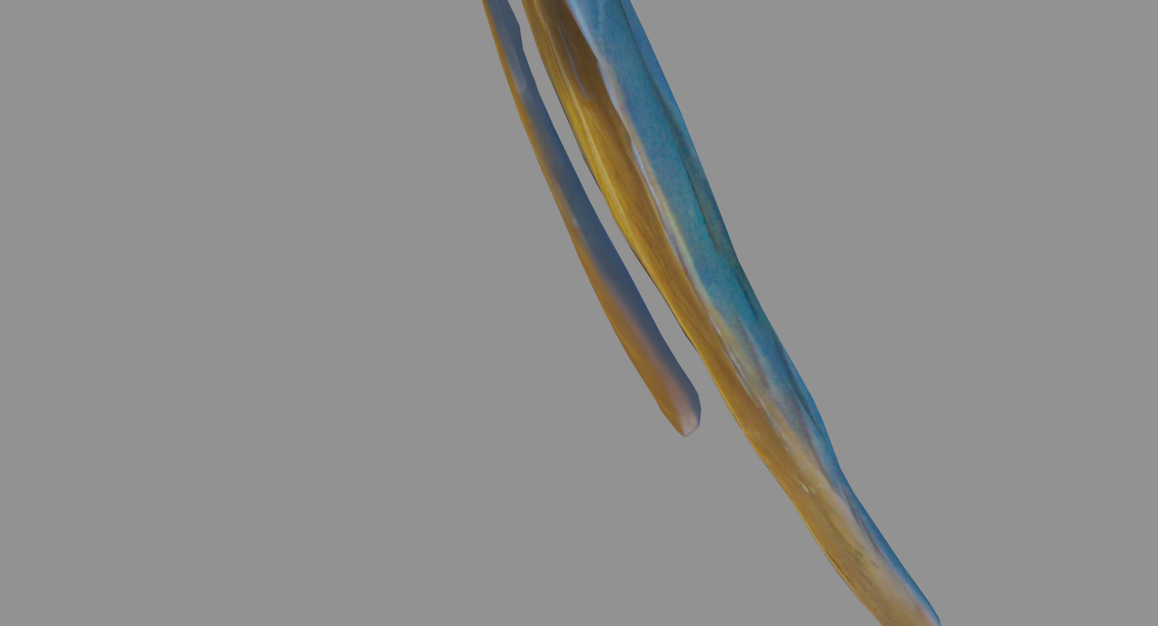 Ara Macaw Low-poly 3D model_64