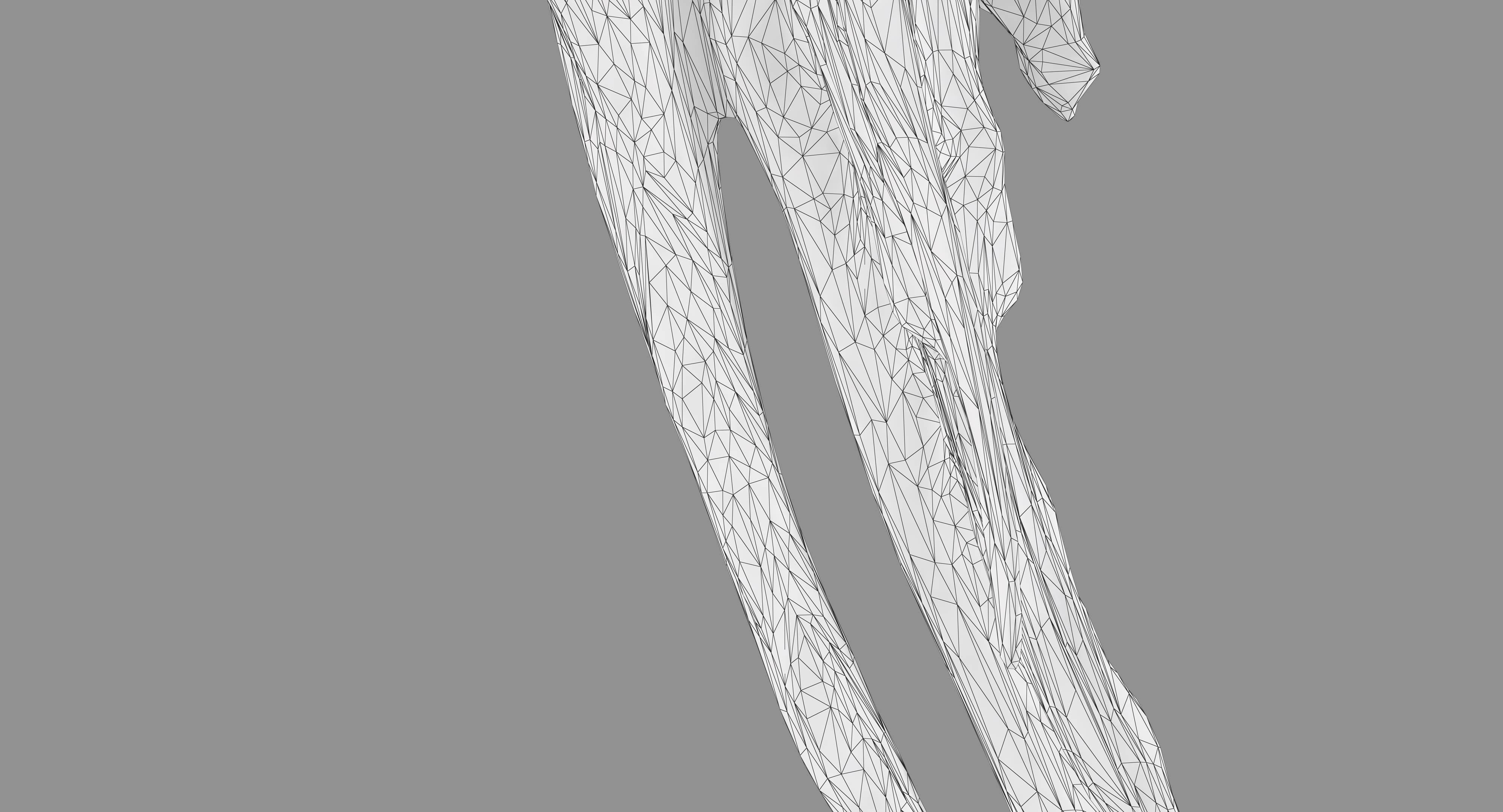 Ara Macaw Low-poly 3D model_73