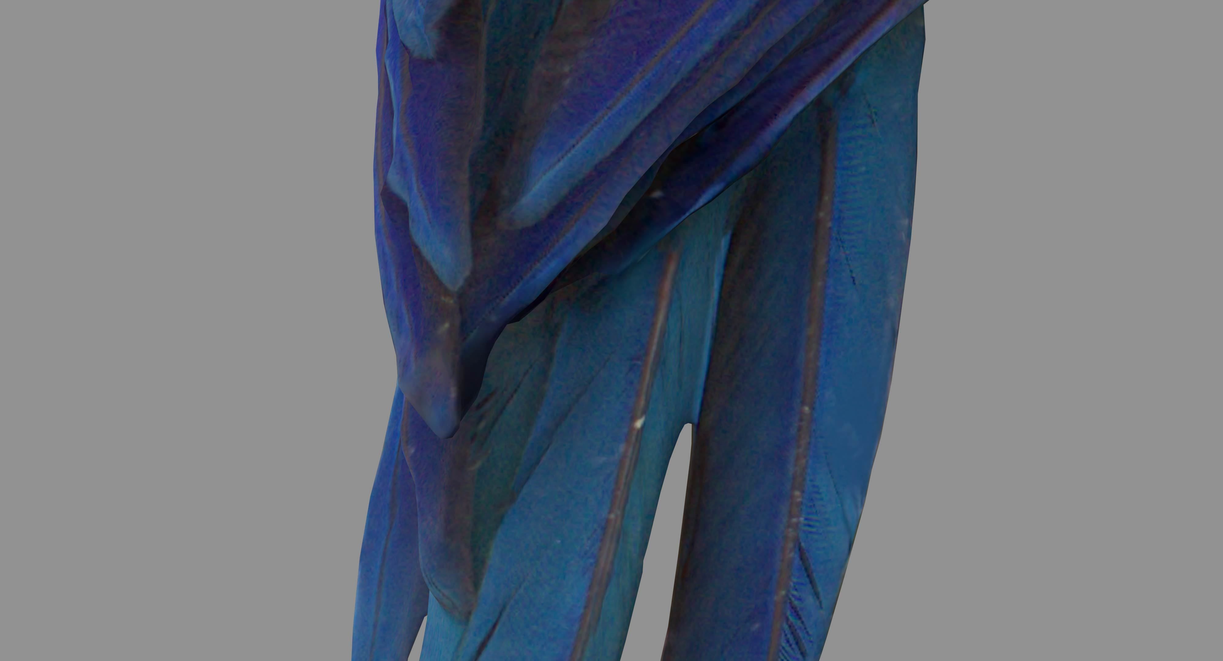 Ara Macaw Low-poly 3D model_42