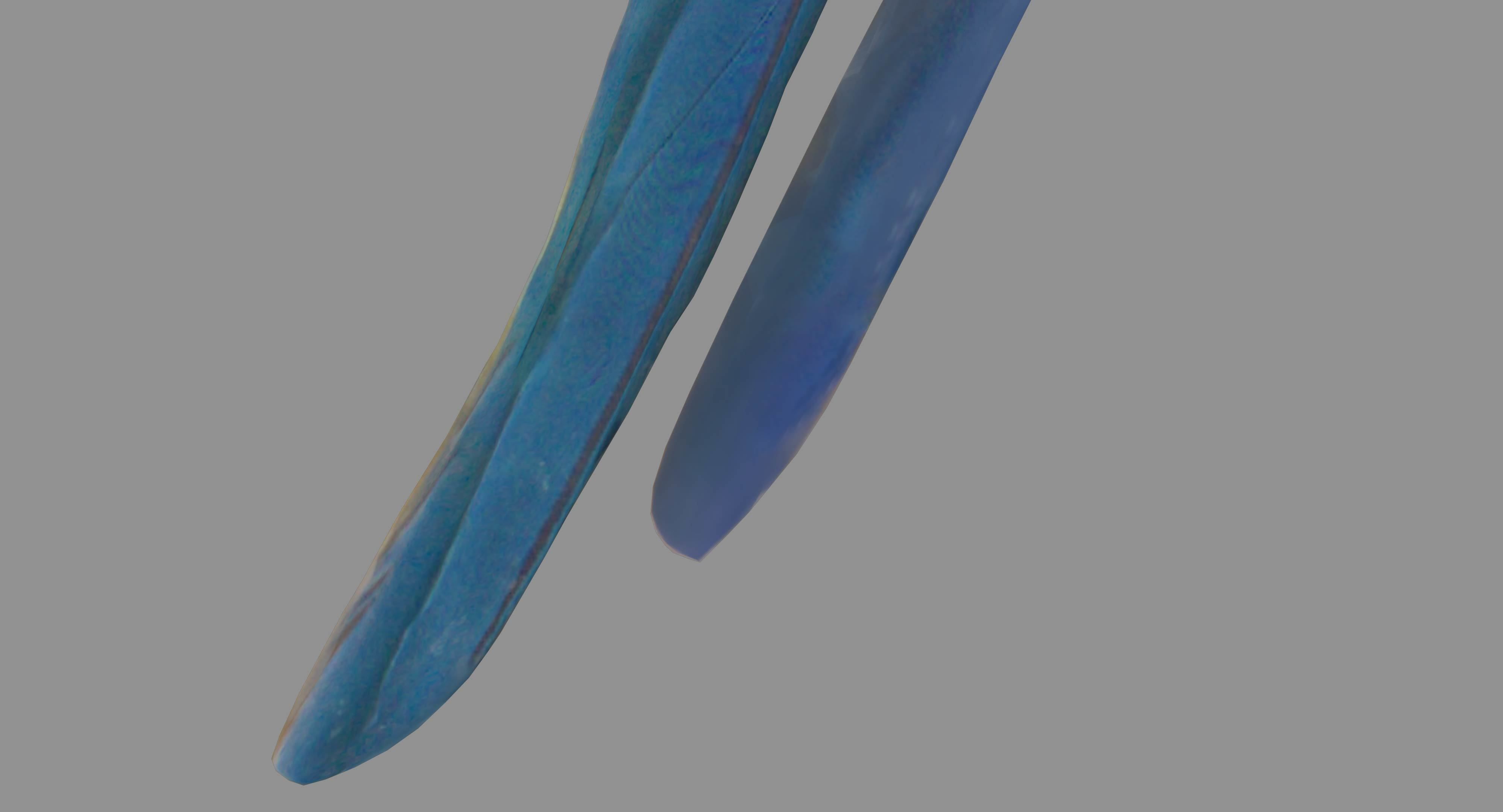 Ara Macaw Low-poly 3D model_44