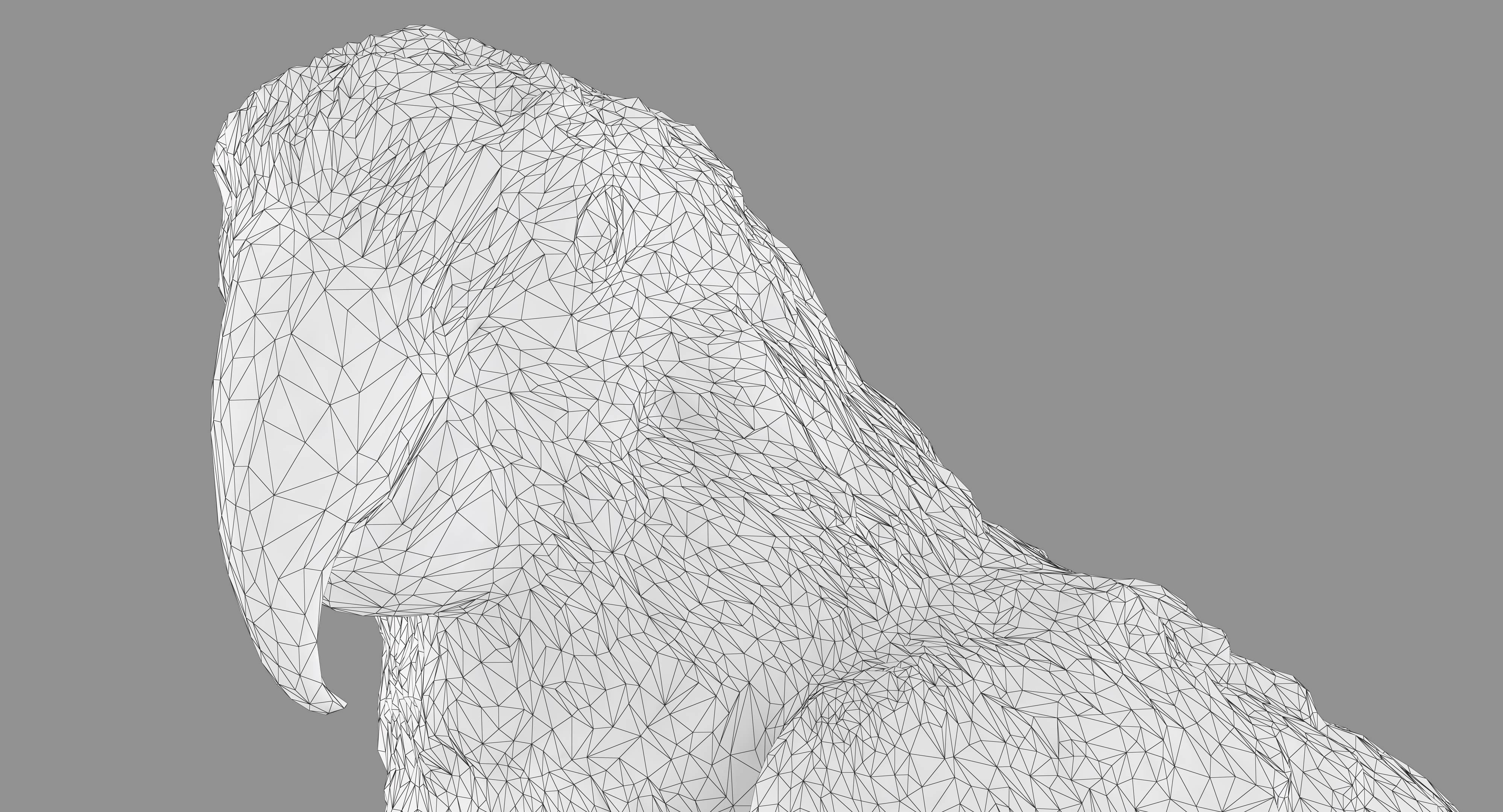 Ara Macaw Low-poly 3D model_67