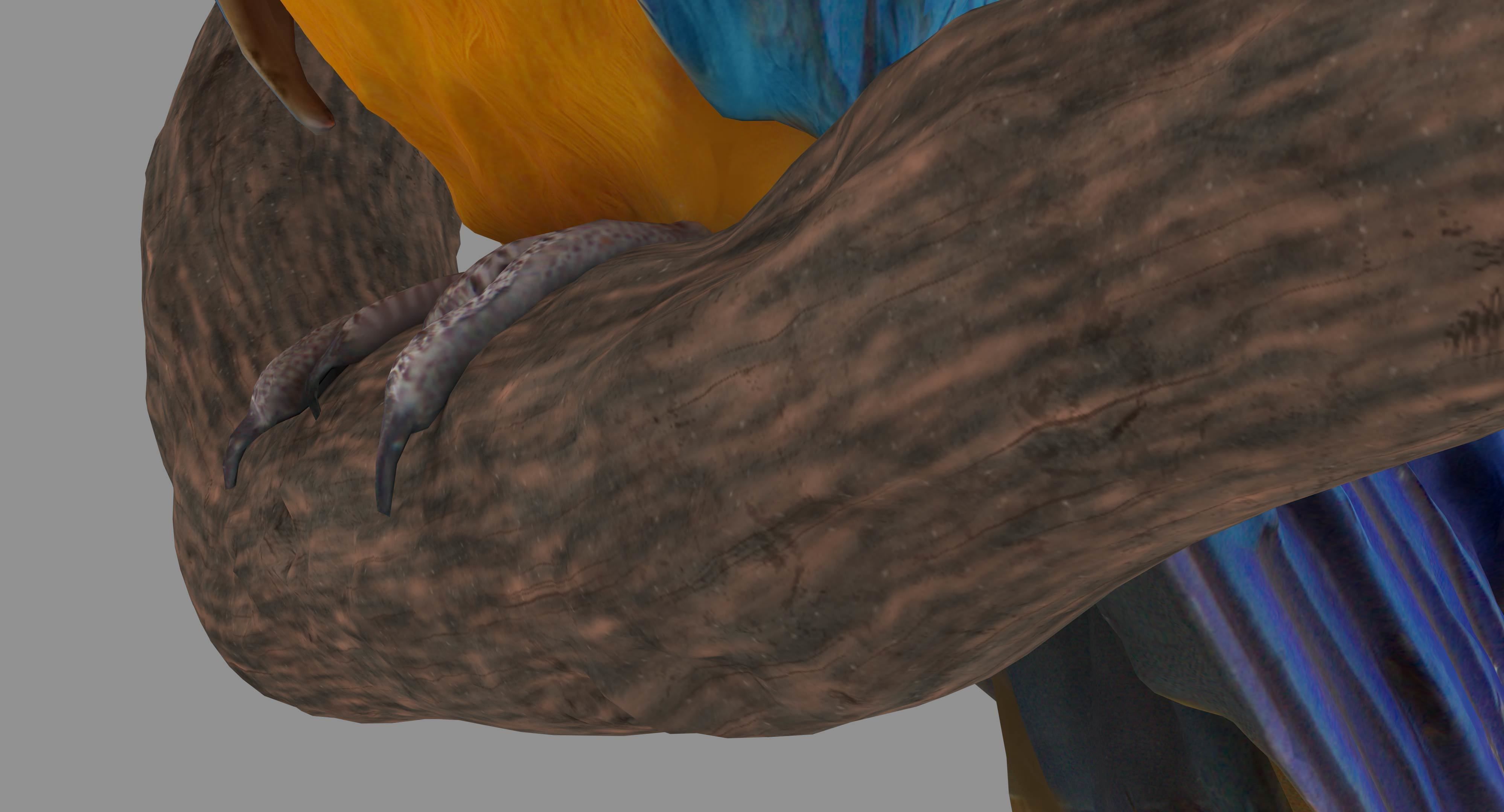 Ara Macaw Low-poly 3D model_70