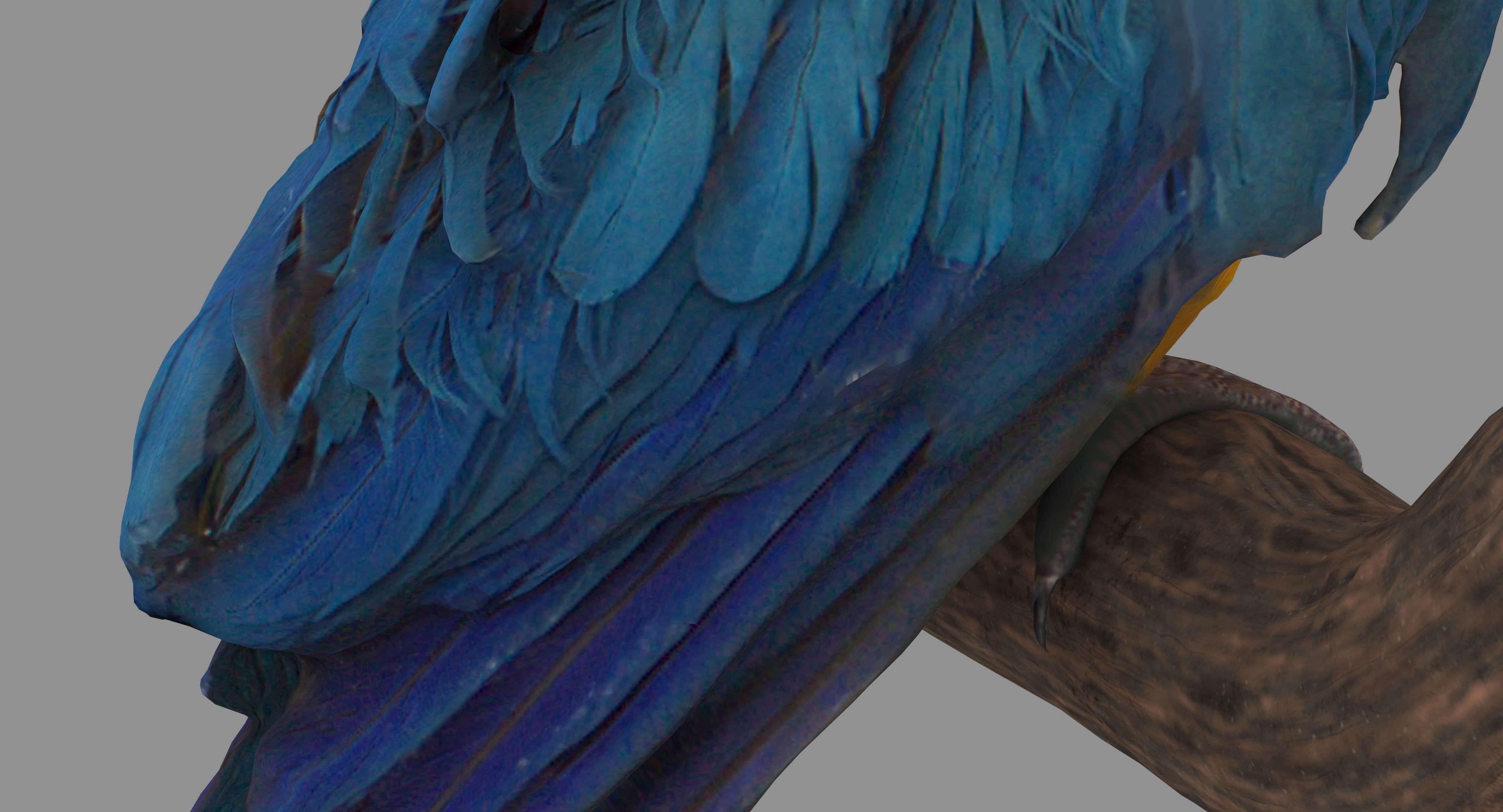 Ara Macaw Low-poly 3D model_30