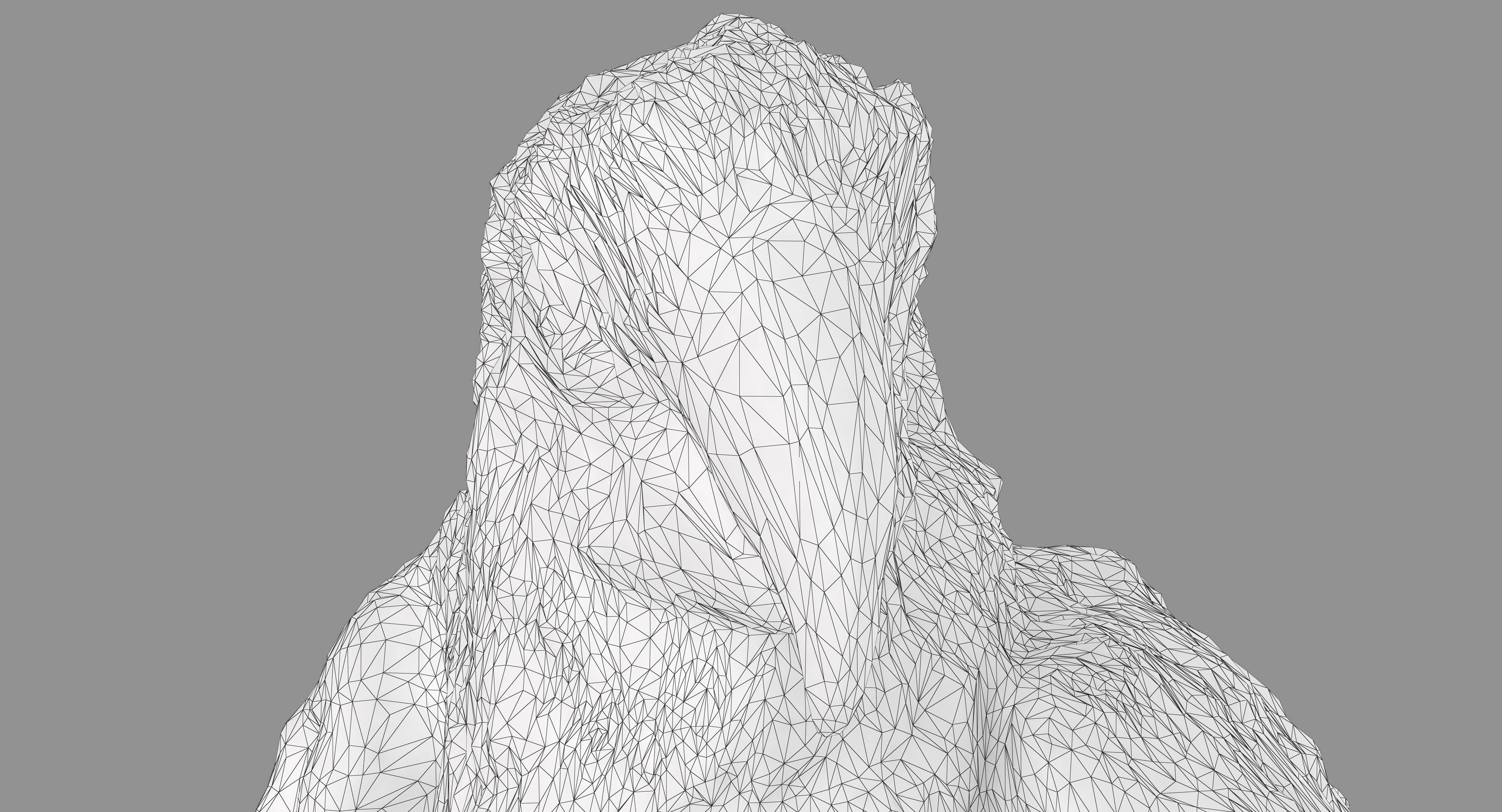 Ara Macaw Low-poly 3D model_77
