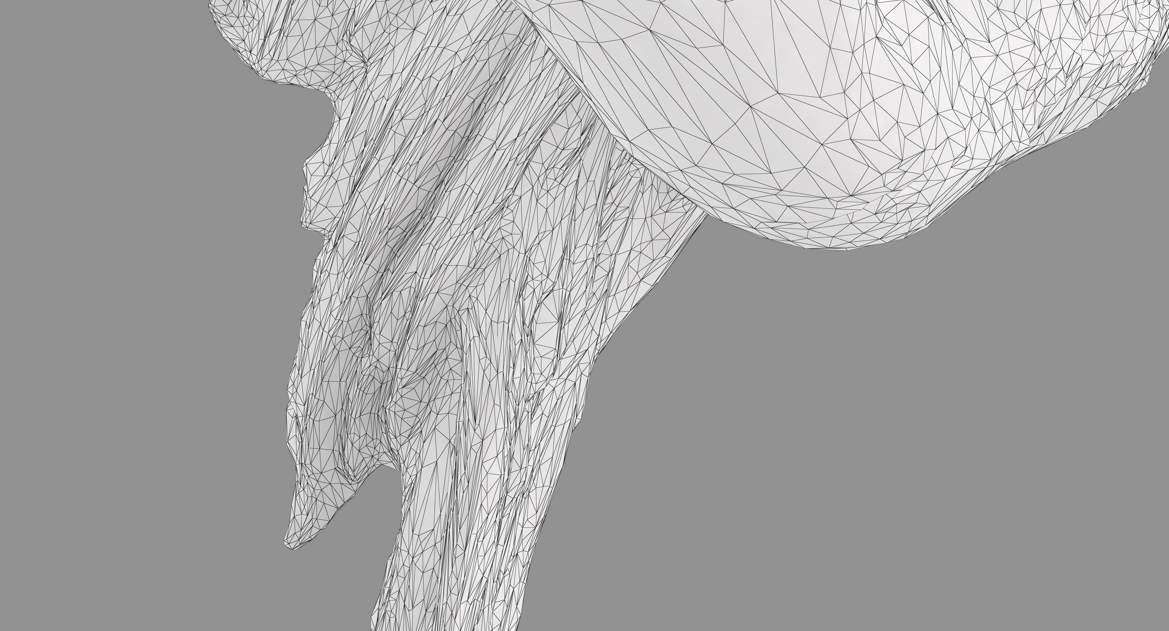 Ara Macaw Low-poly 3D model_23