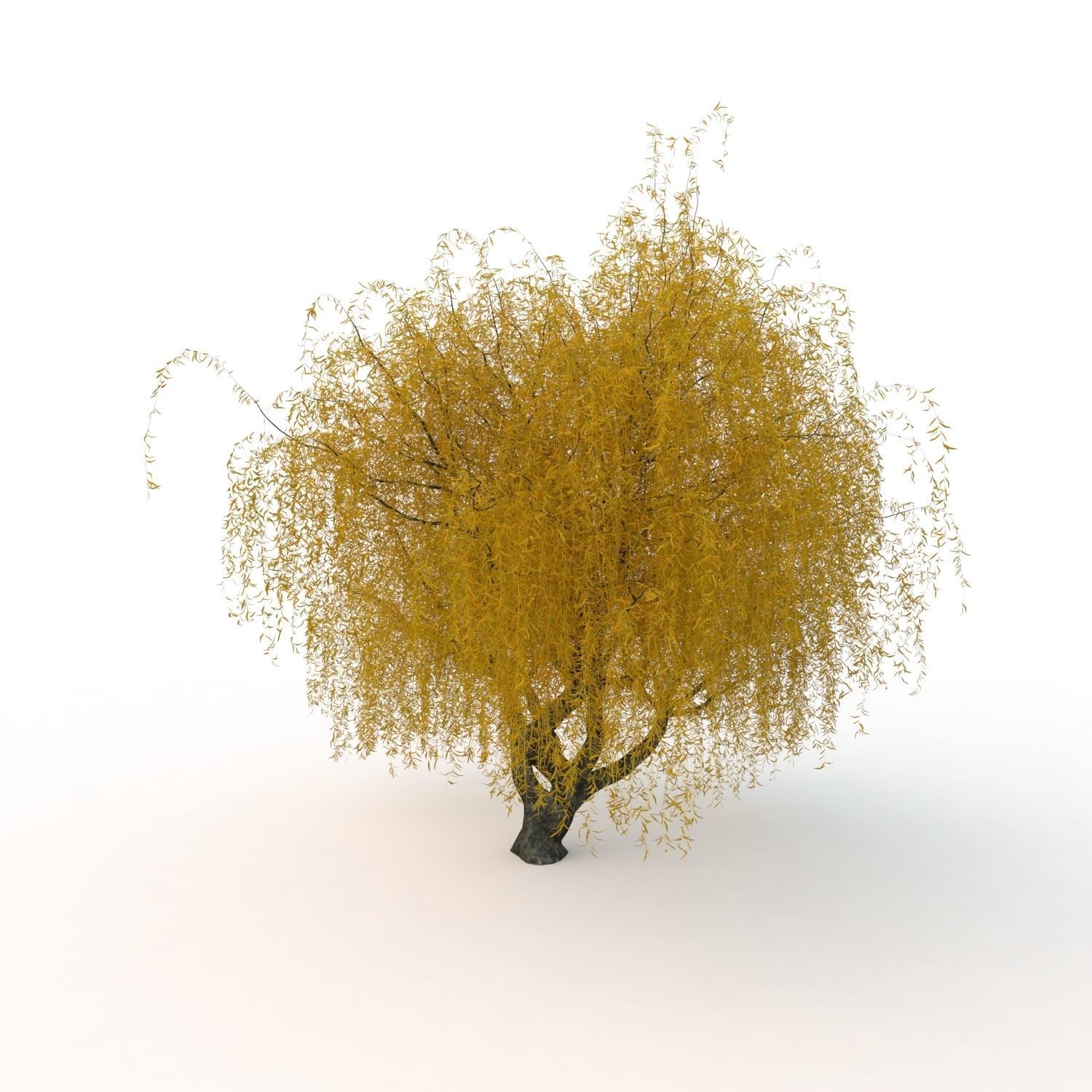 willow fall tree 3D model_15