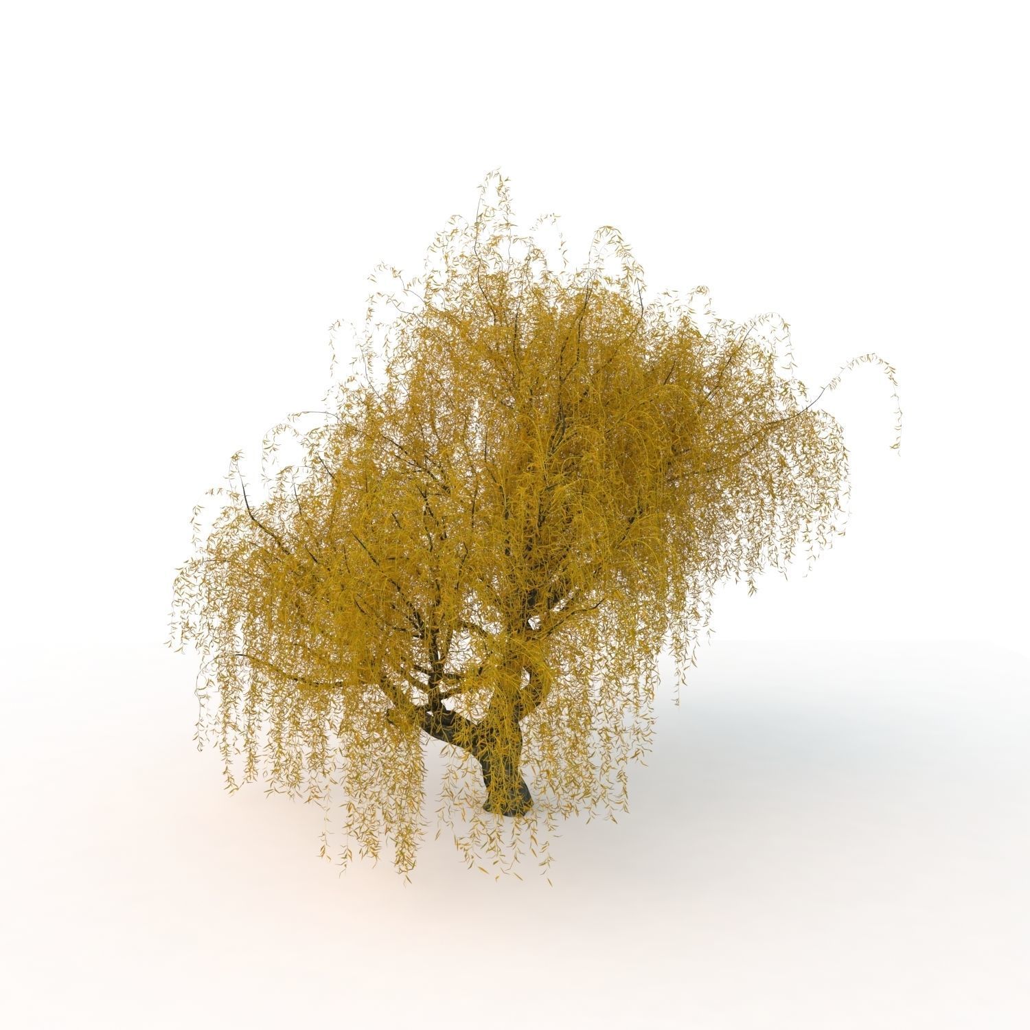 willow fall tree 3D model_18
