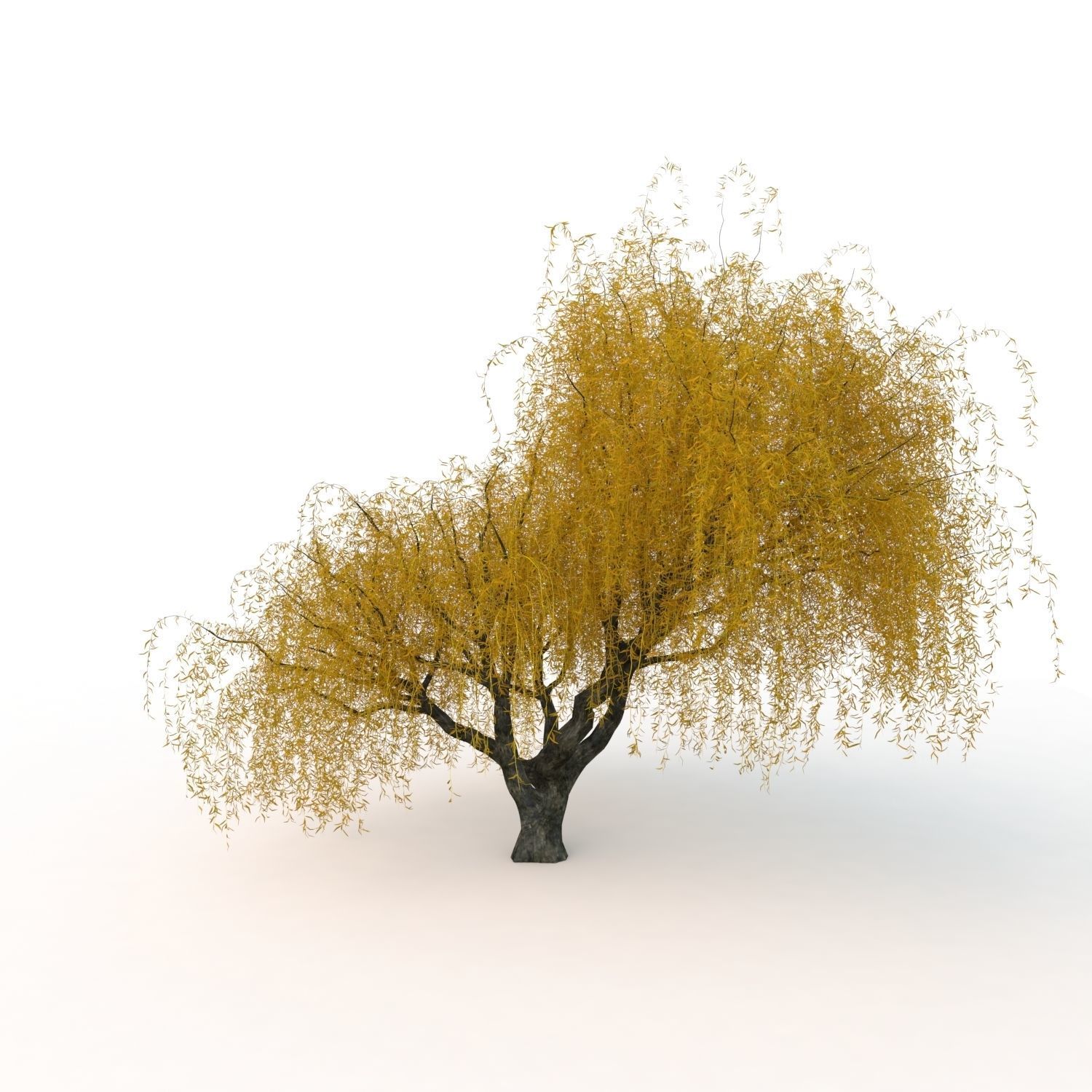 willow fall tree 3D model_17