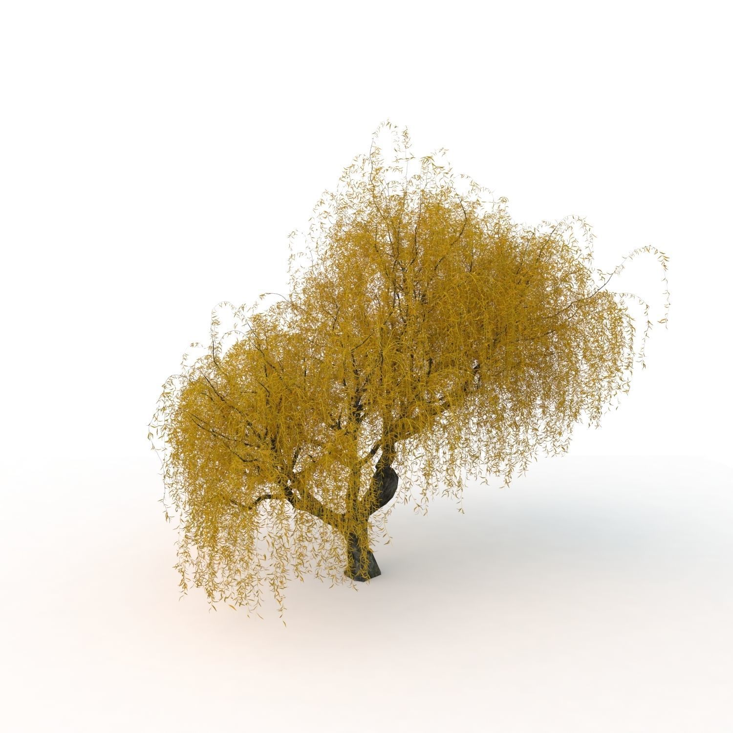 willow fall tree 3D model_22