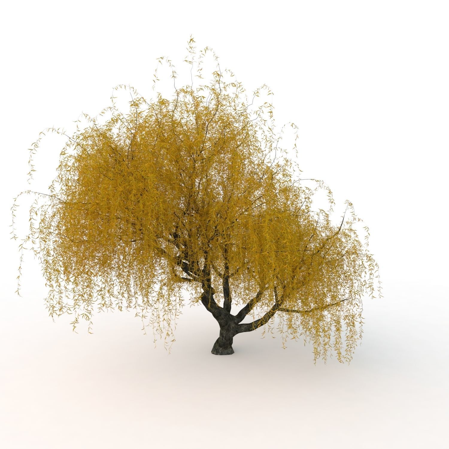 willow fall tree 3D model_13