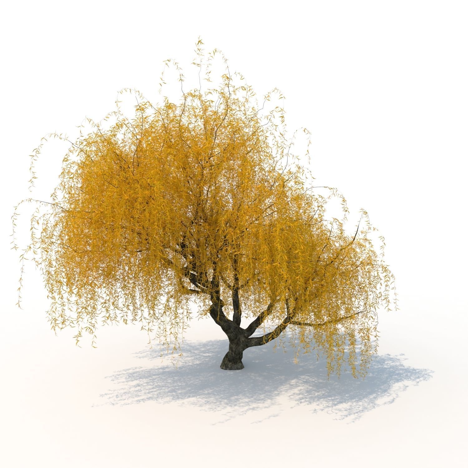willow fall tree 3D model_5
