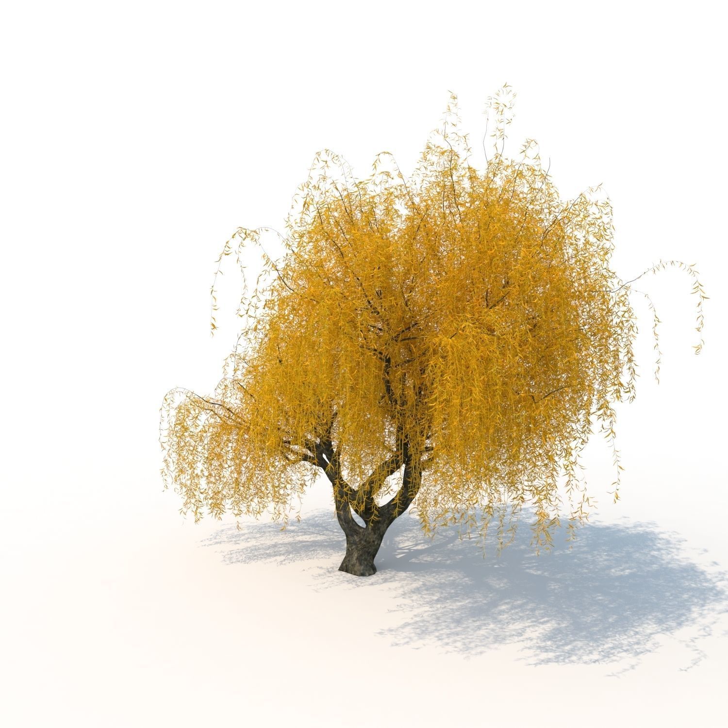 willow fall tree 3D model_7