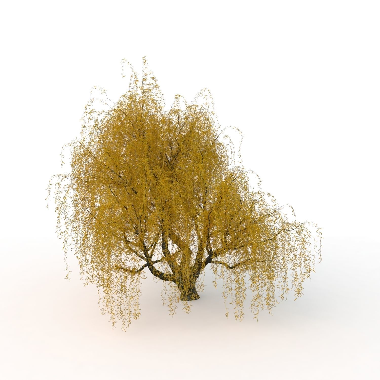 willow fall tree 3D model_20