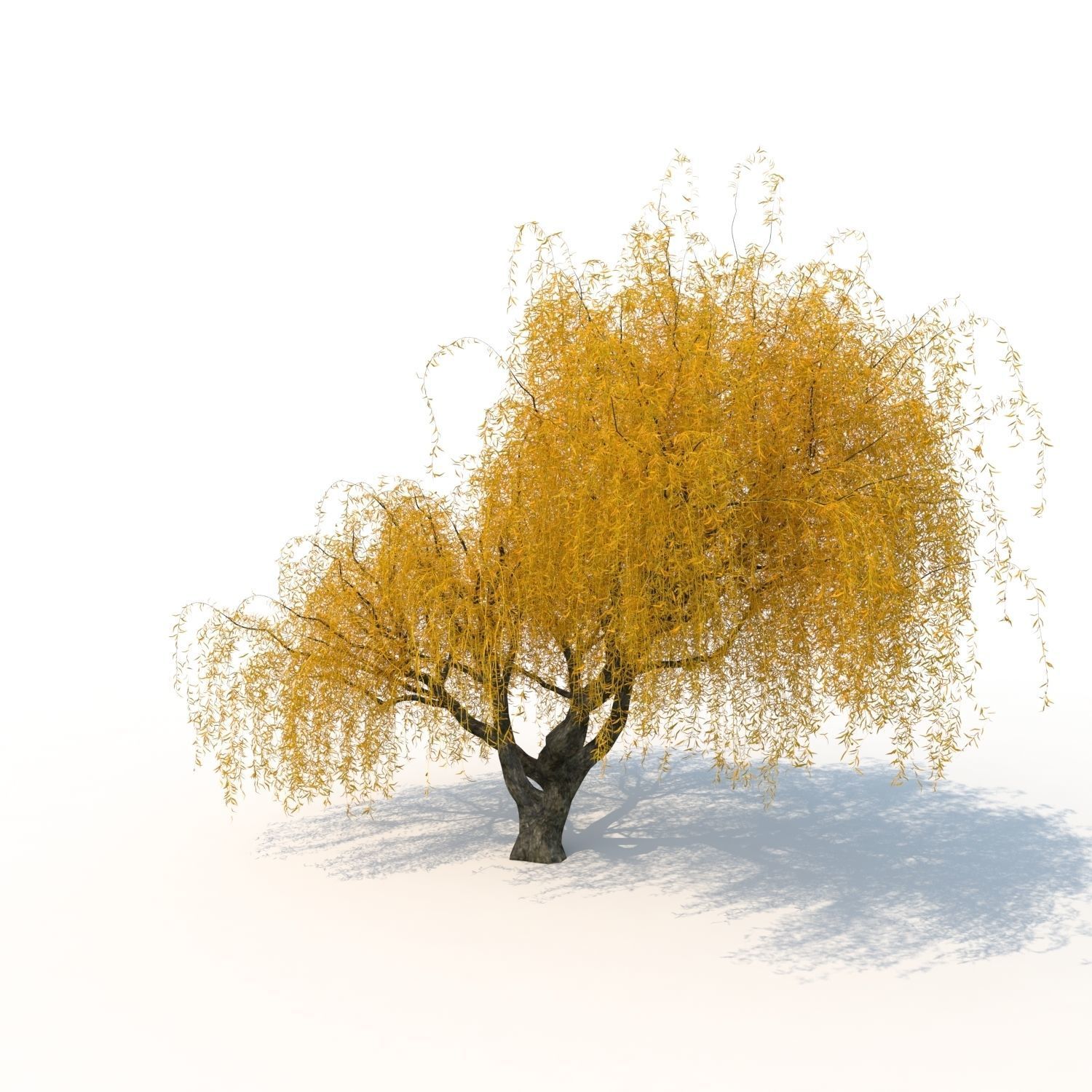 willow fall tree 3D model_6