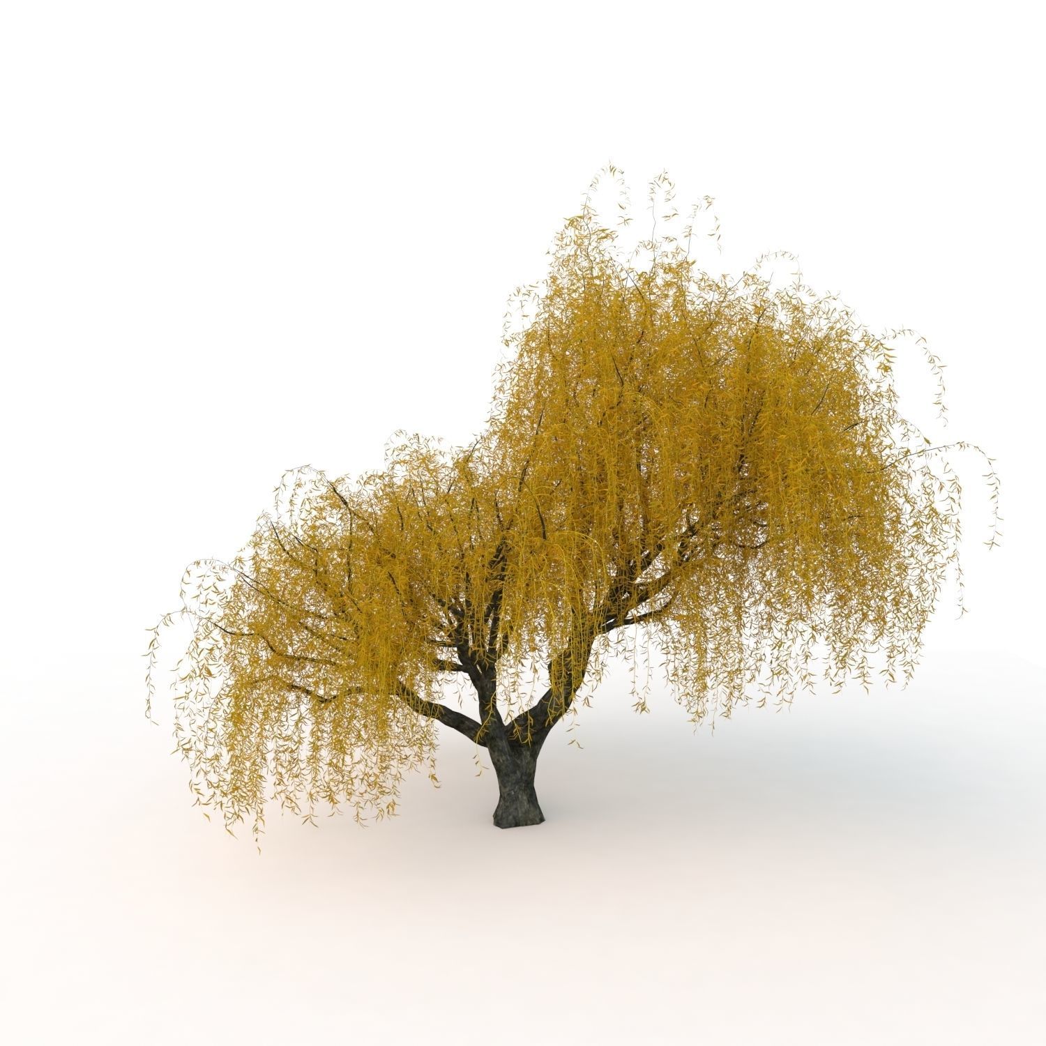 willow fall tree 3D model_23