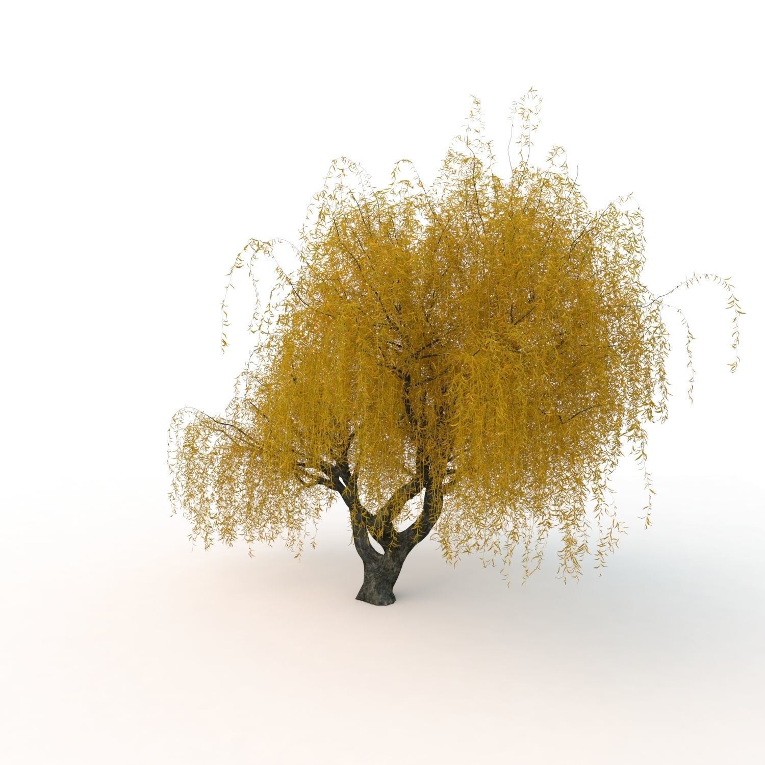 willow fall tree 3D model_12