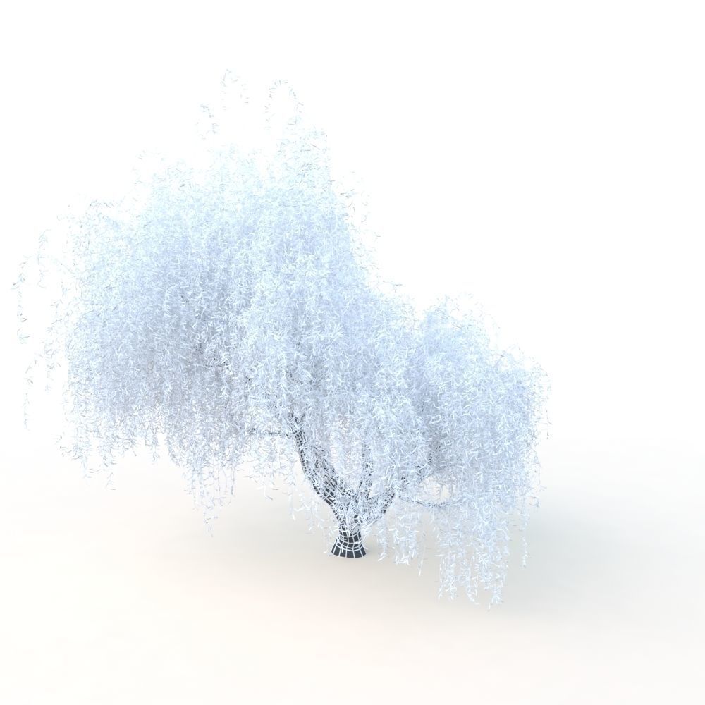 willow fall tree 3D model_27
