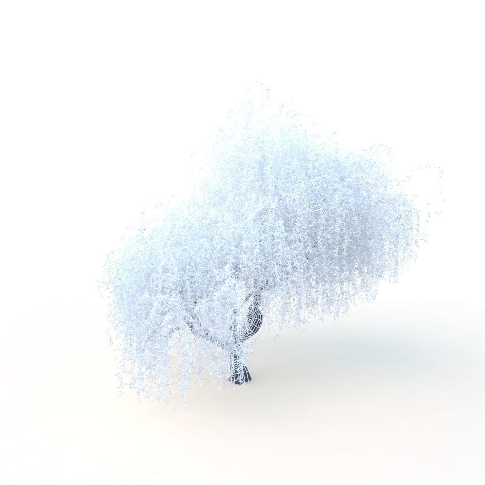 willow fall tree 3D model_34
