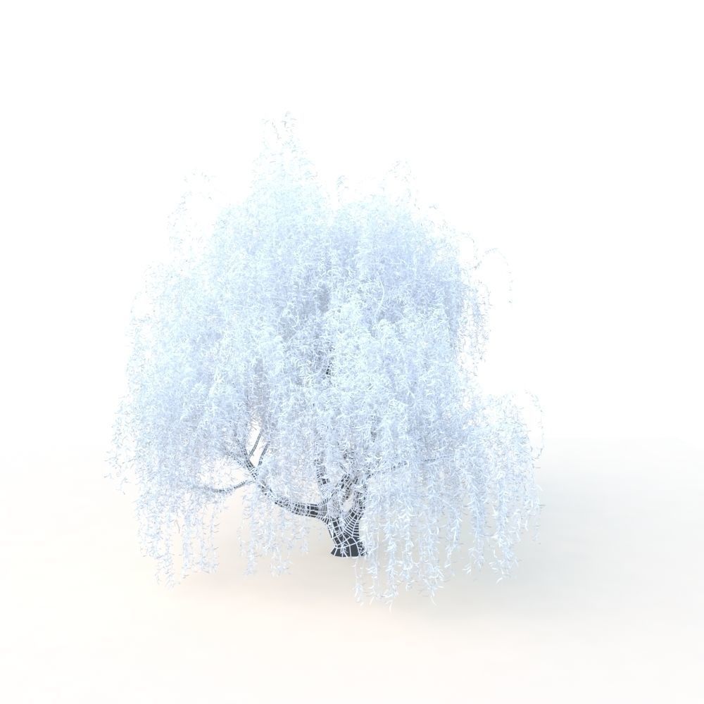 willow fall tree 3D model_32